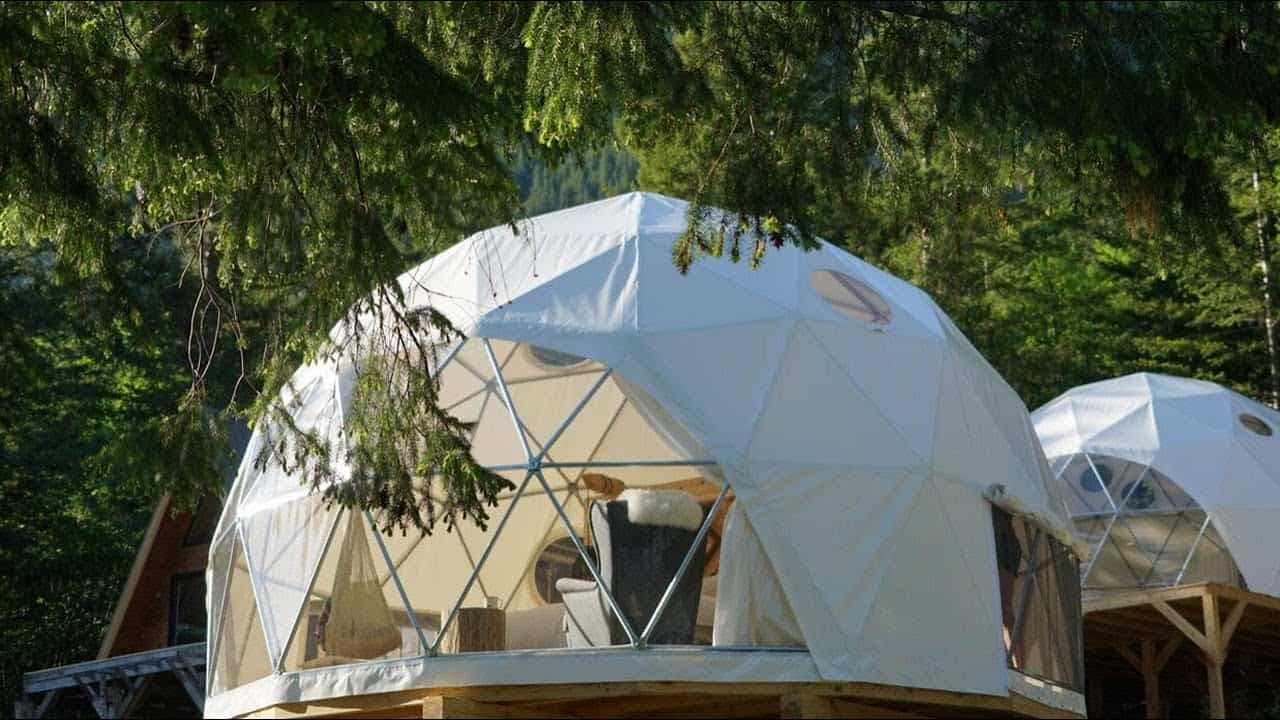 Two white domes sitting on top of a tree, reminiscent of a dome home.