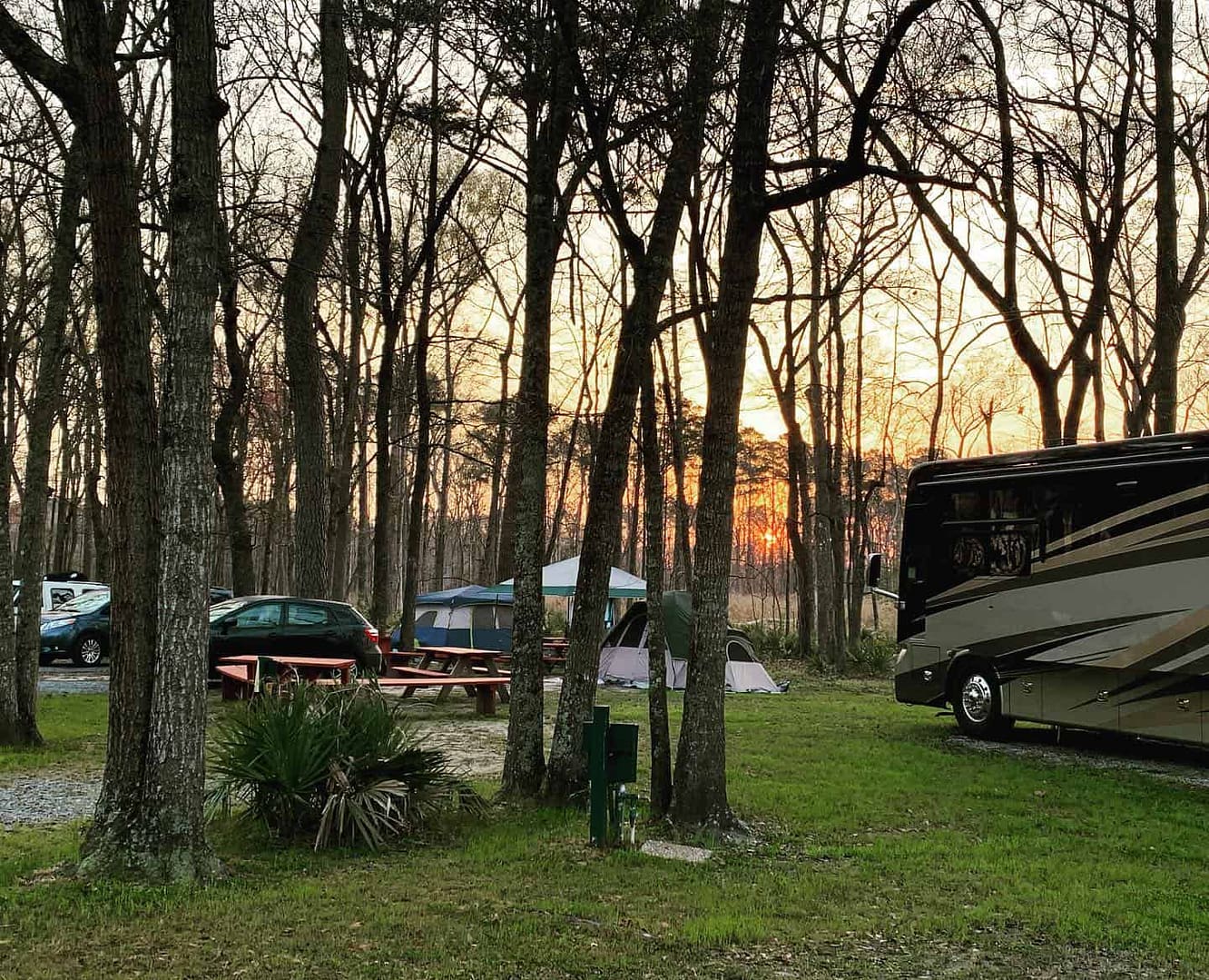 An RV parked in a wooded area at sunset in the SC Lowcountry Campground.
