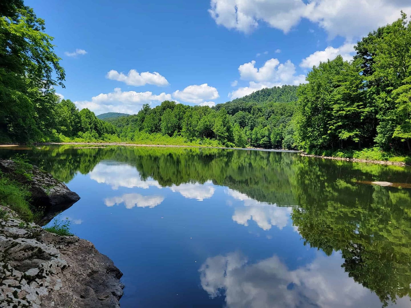 A riverfront surrounded by trees and a blue sky.
