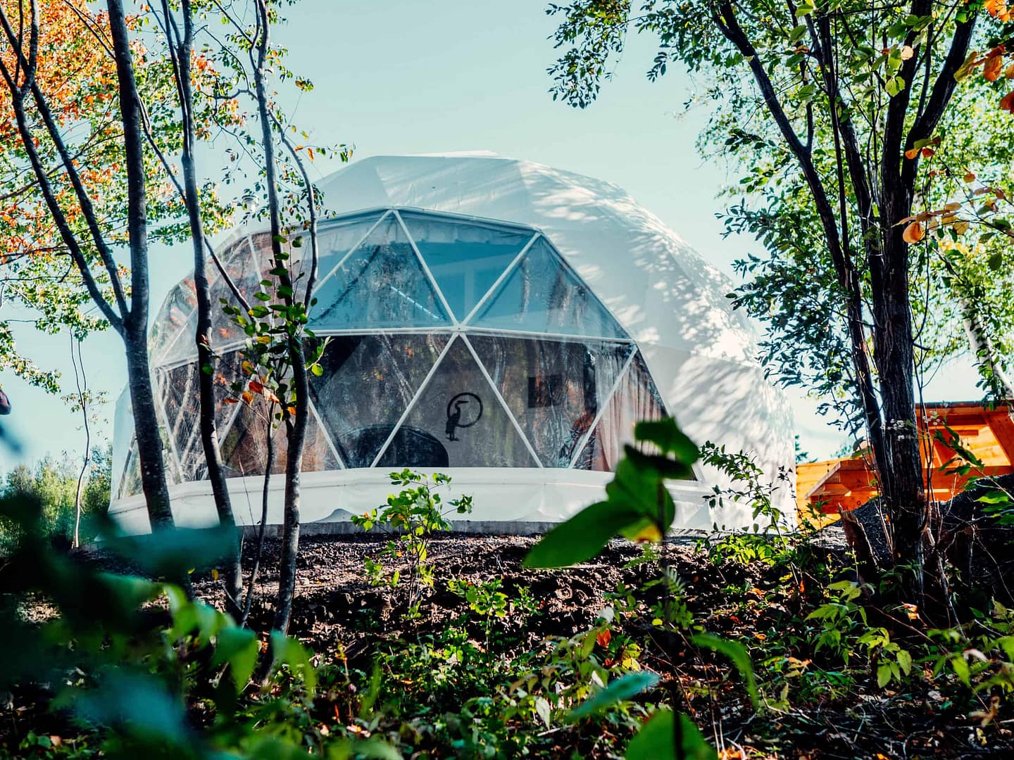 A tranquil igloo nestled amongst towering trees in the woods, providing a serene ambiance perfect for a Zen Center or Creekside RNR Glamping Resort.