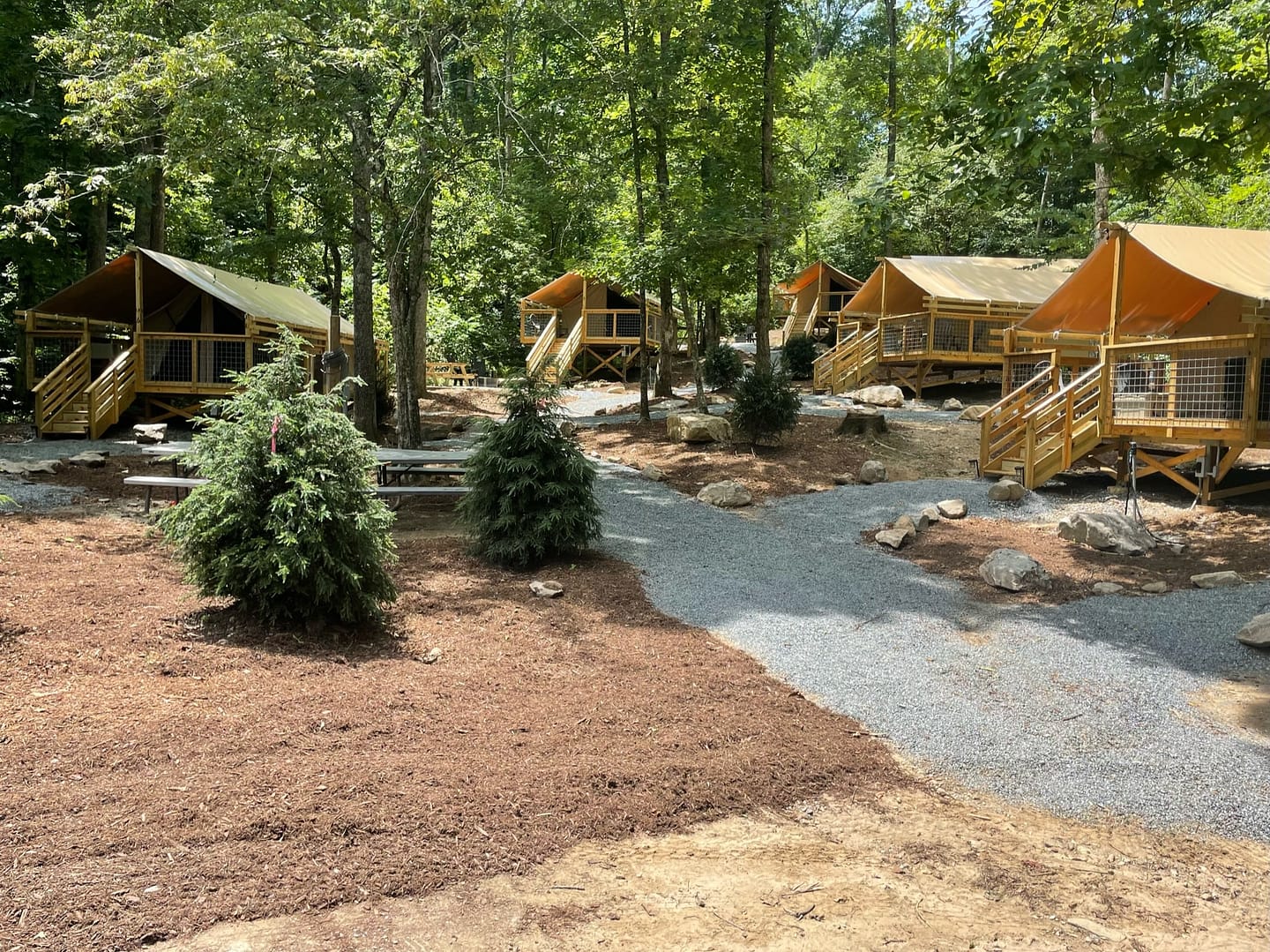 A group of camping tents in a wooded area at Wilderness Cove Campground.