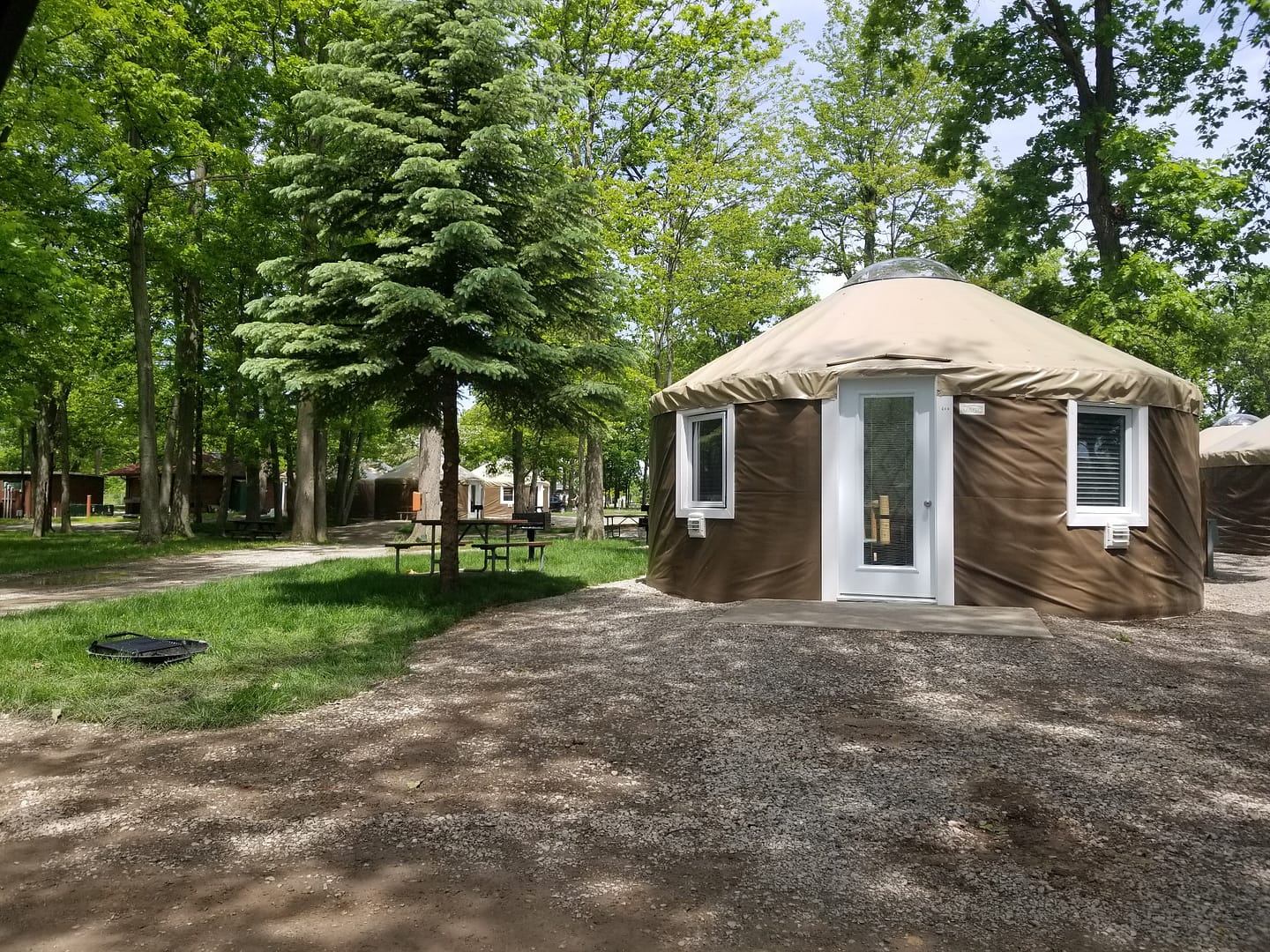 In 2023, experience the charm of a yurt nestled within the serene wooded landscape of Jellystone Park in Eastern Canada.