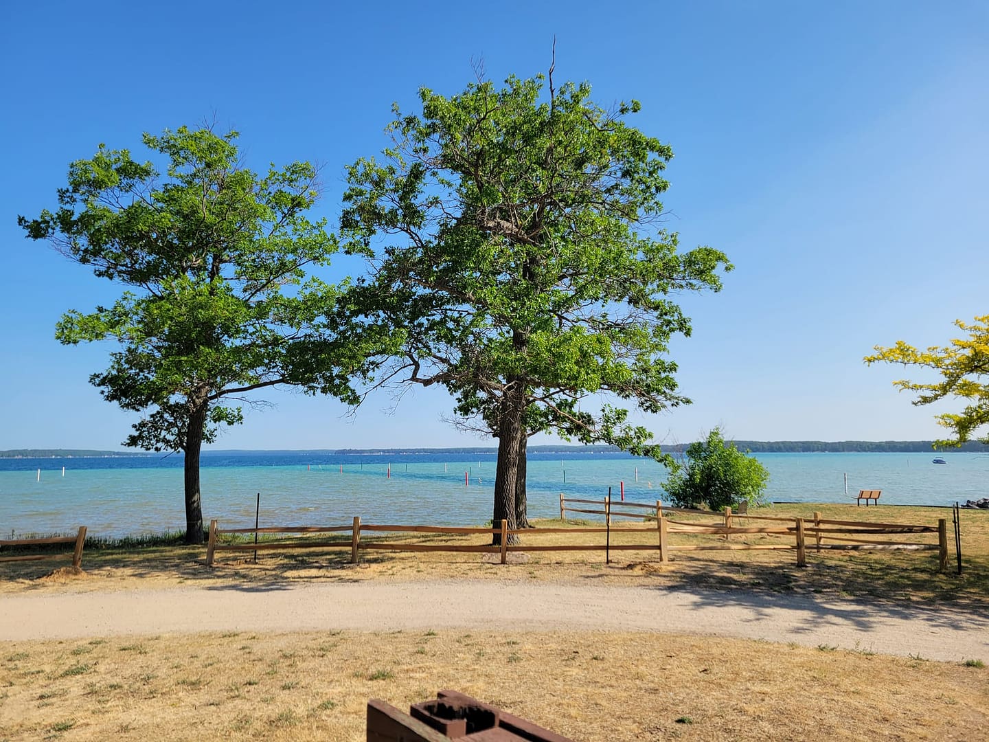 A group of trees next to South Higgins Lake State Park.