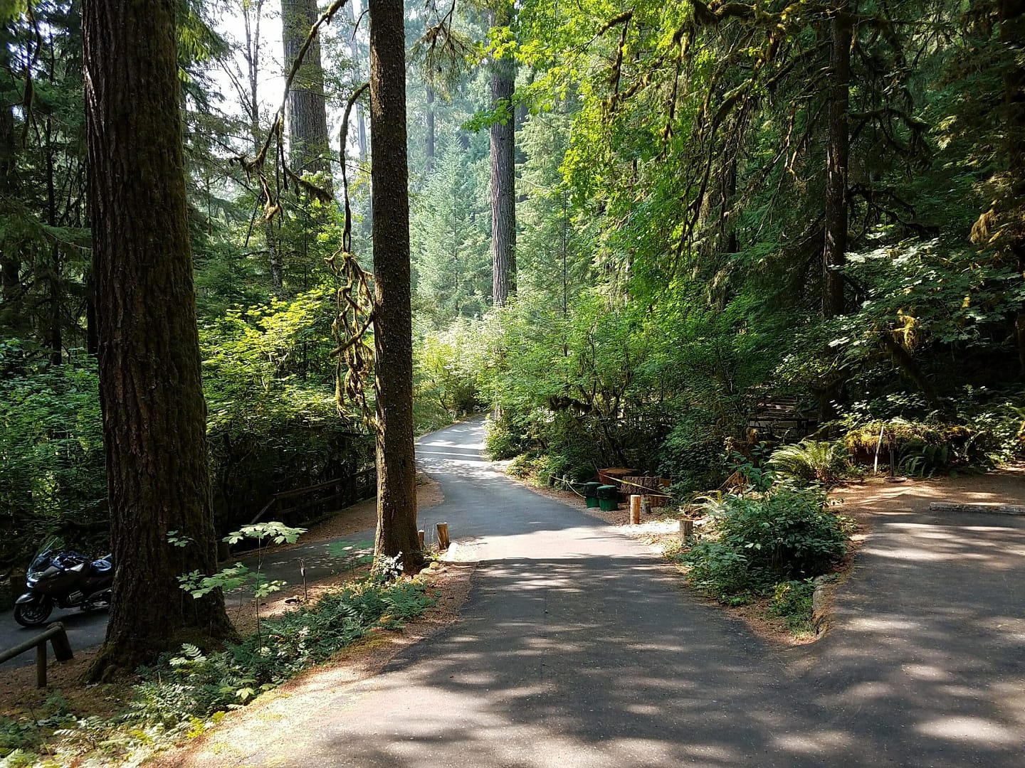 A closed dirt road in Yellowbottom Campground, surrounded by trees in a wooded area.