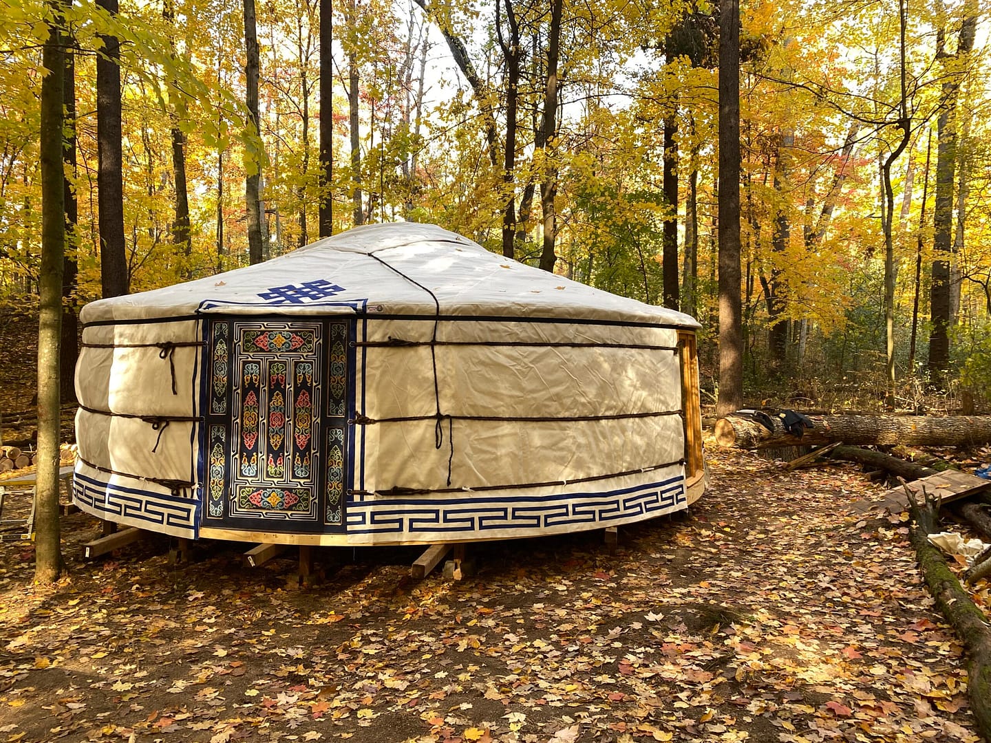 A modern yurt in the woods, blending Mongolian tradition with a groovy ambiance, surrounded by leaves.