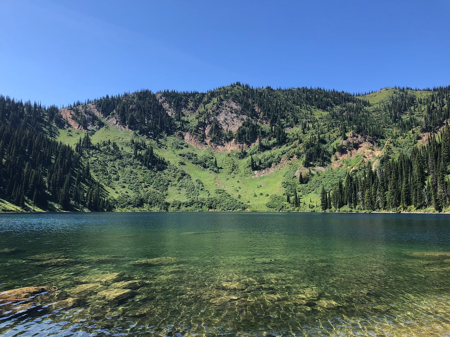 A serene lake with clear water in the foreground, surrounded by lush green hills in Flathead National Forest under a bright blue sky.