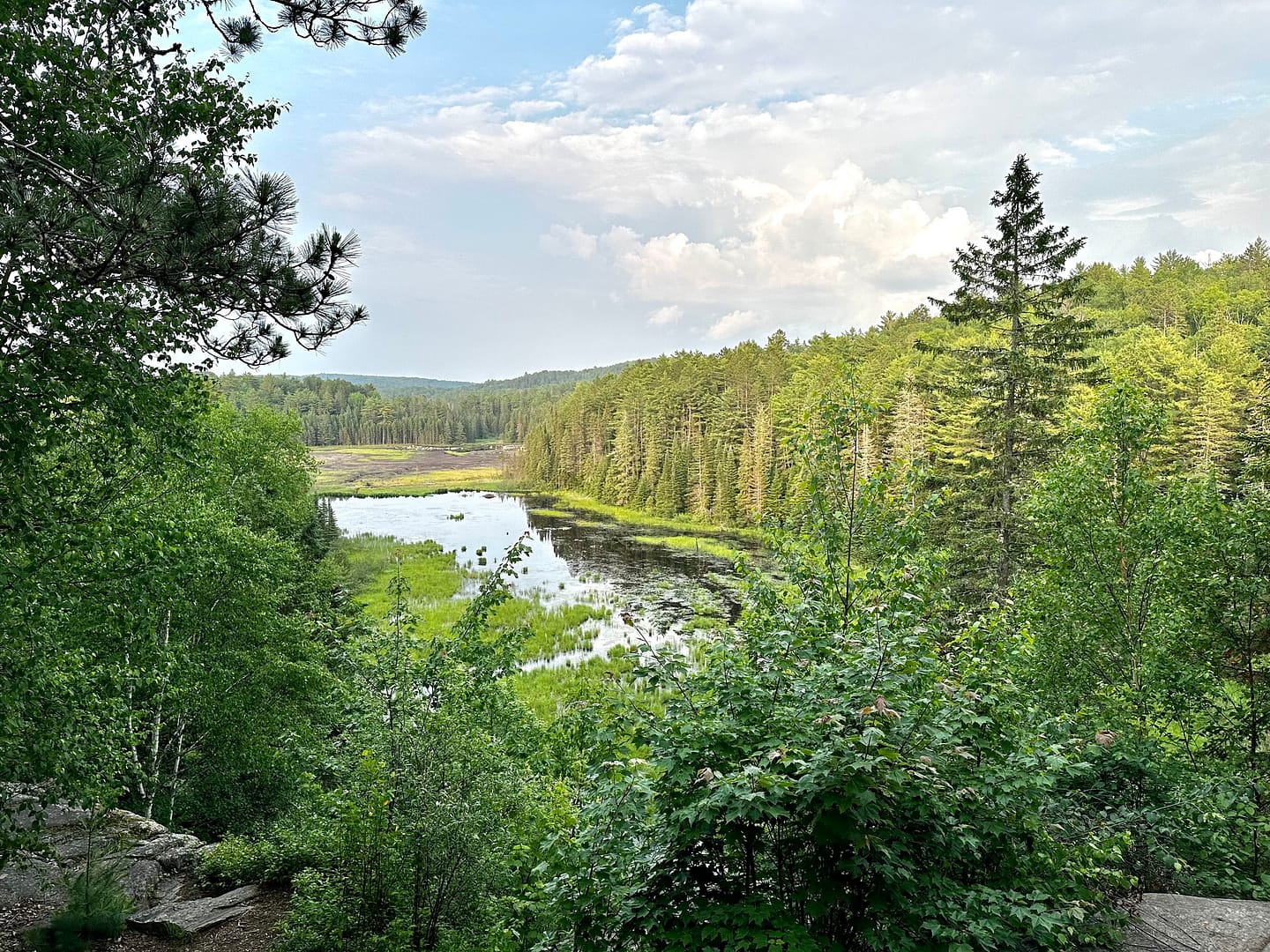 A scenic view of a lush forest surrounding a marsh with calm water and a cloudy sky overhead, perfect for campers seeking tranquility during a long weekend in one of the provincial parks.