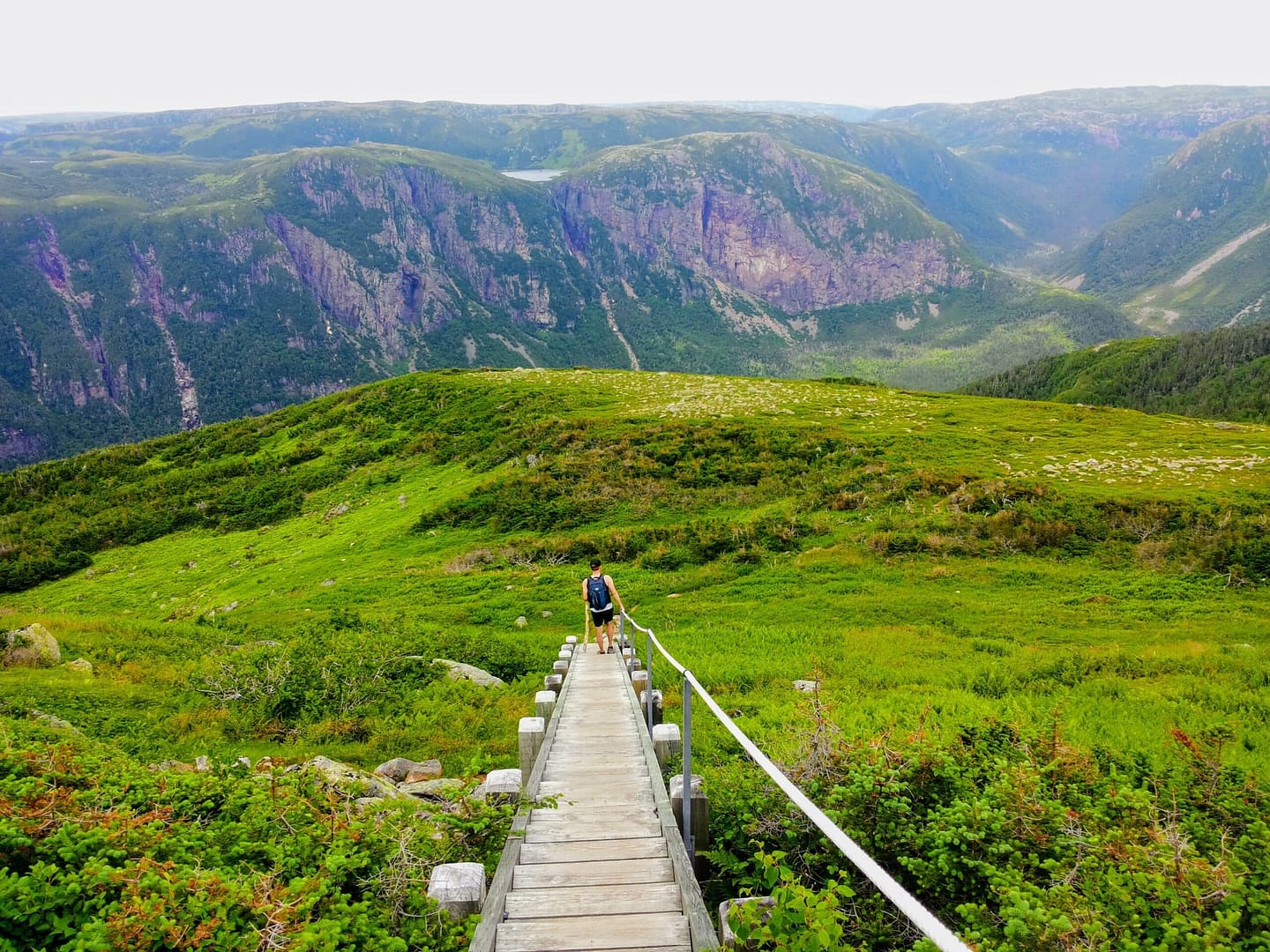 A person walks down a wooden boardwalk surrounded by lush greenery, heading towards a vast valley with steep mountains in the background, as if following an auto draft of nature's perfect script.
