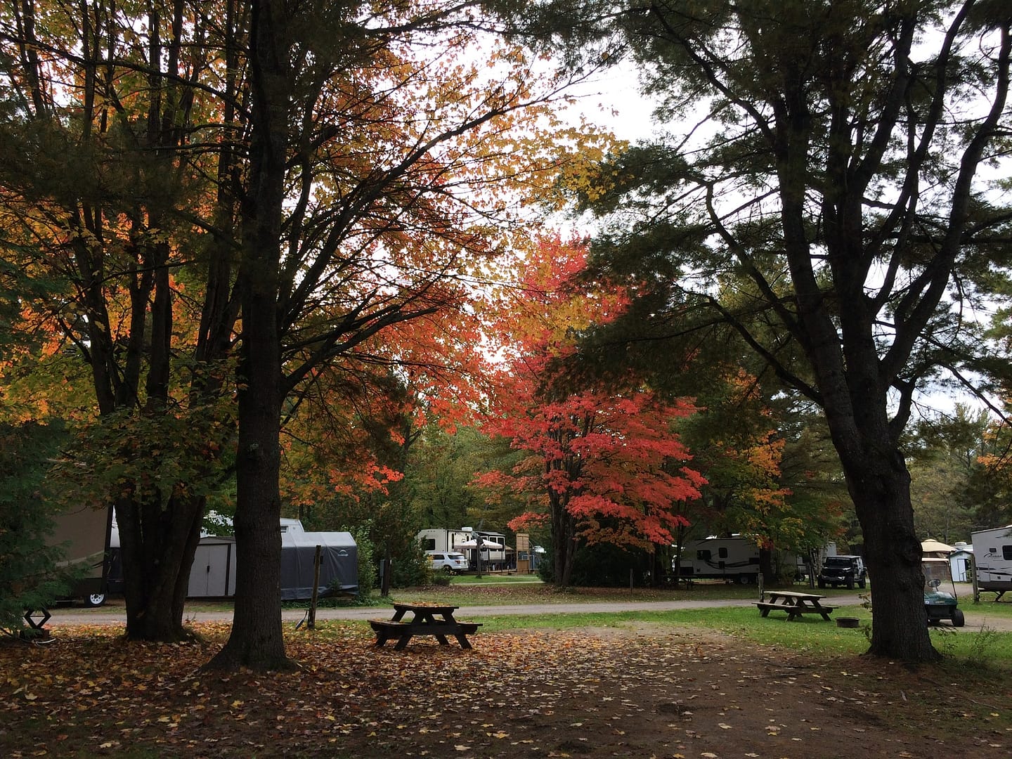 A picturesque campsite in autumn with picnic tables, parked RVs, and colorful trees displaying orange and red leaves, nestled in the heart of Muskoka, Ontario.