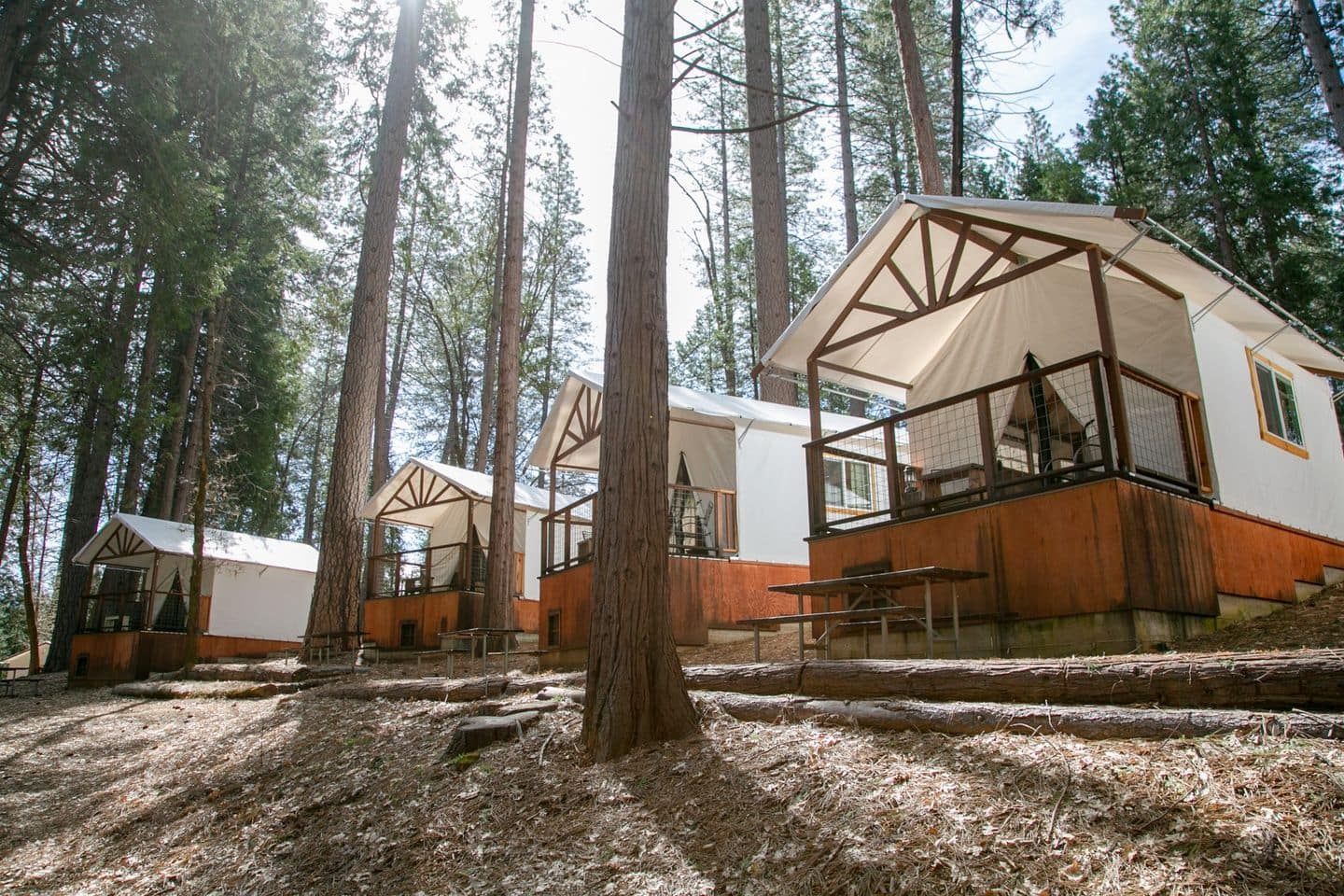 A group of cabins in a wooded area, recommended by USA Today 10 Best Readers for its serene and natural surroundings.