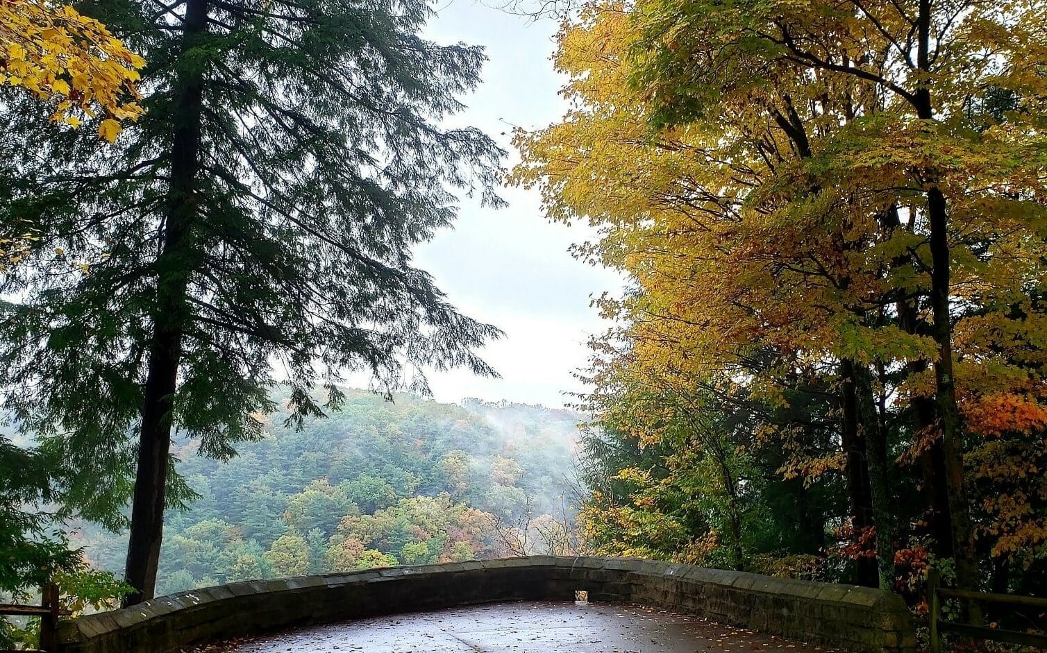 A bridge leading to a leaf-filled wooded area in the fall at Mohican State Park, an autumnal haven for leaf seekers.