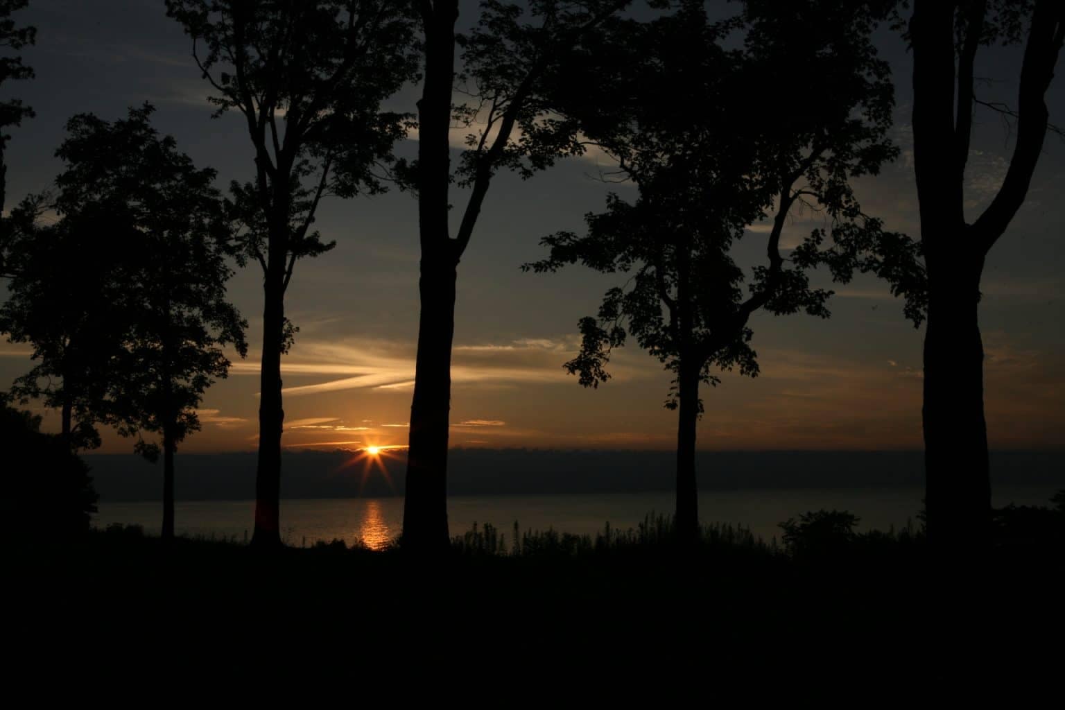 Sunset viewed through silhouetted trees by a lakeside in Geneva State Park.