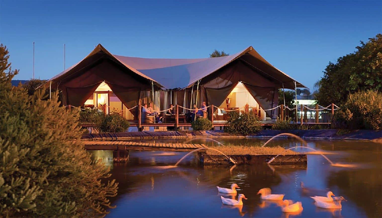A Safari Glamping tent in New Jersey with swans swimming in a pond at Six Flags.