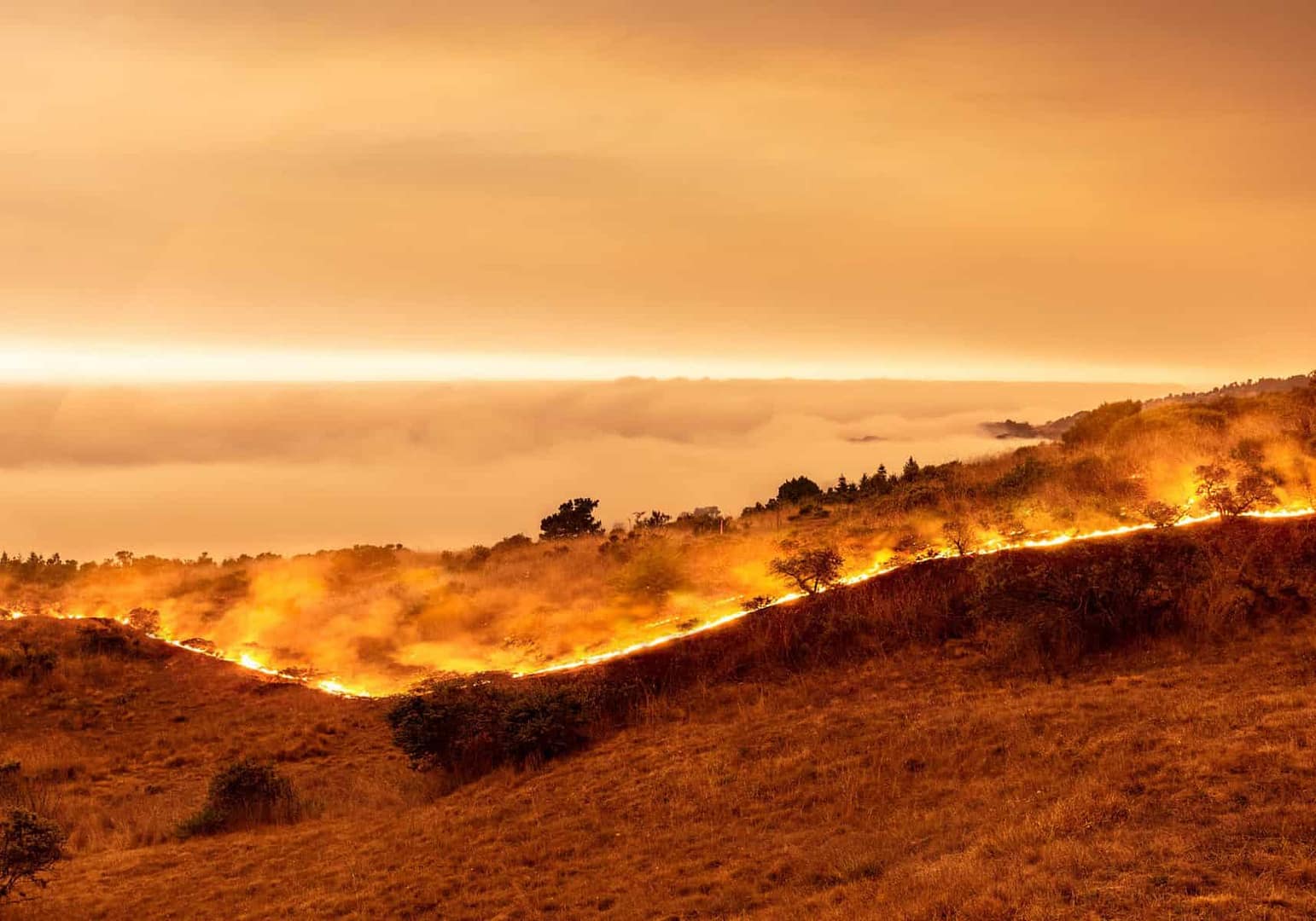 A wildfire on Westside Road in British Columbia.