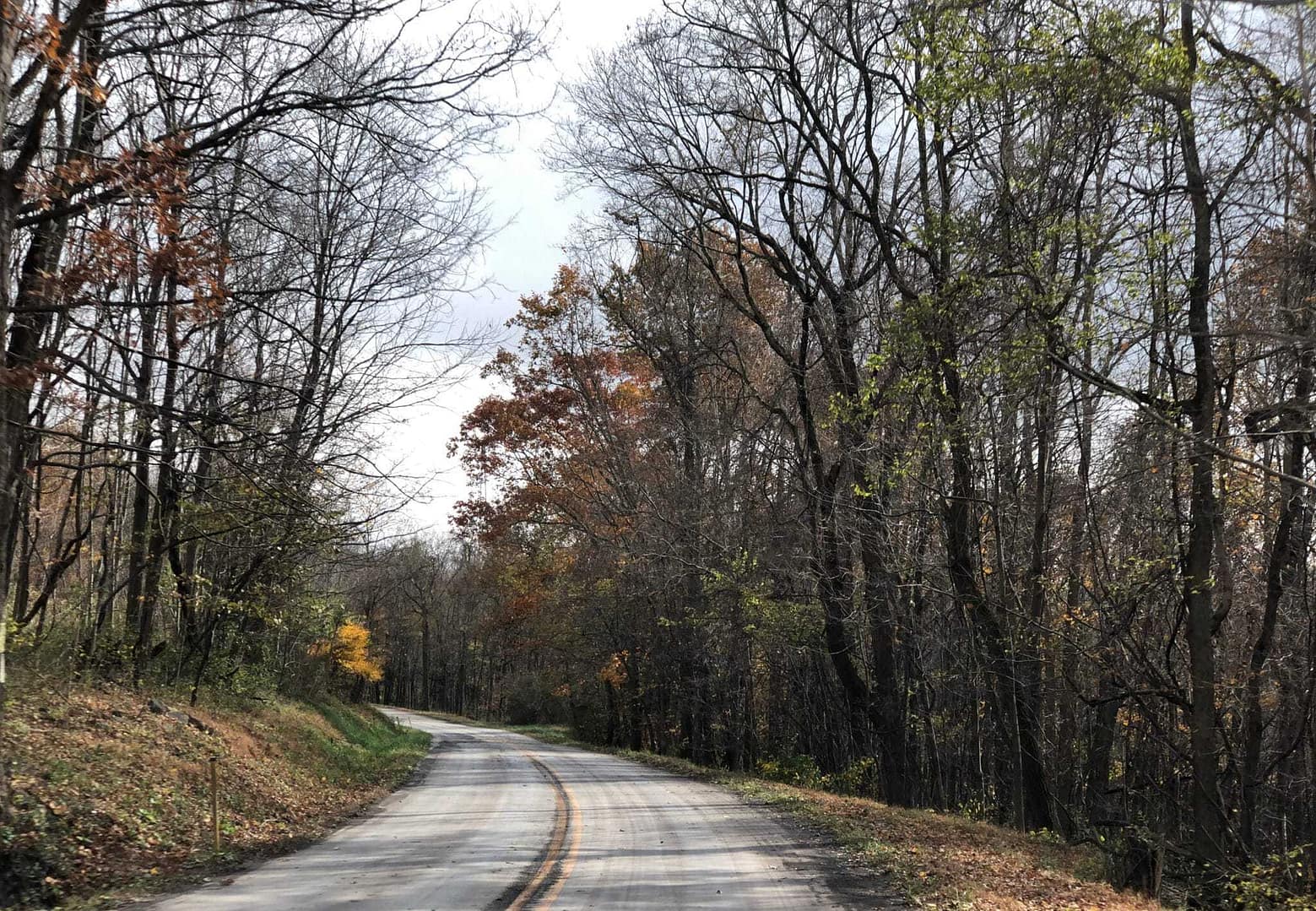 A road in Allegany County with trees in the background.