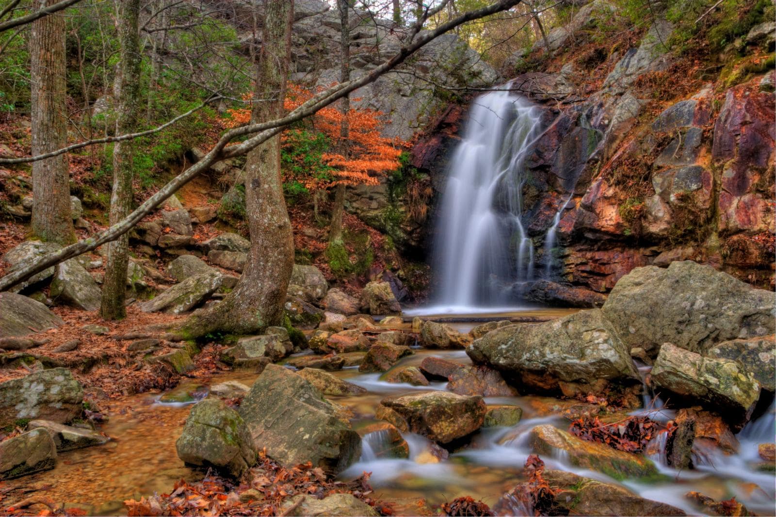 A serene waterfall cascades over rocks in a forest with autumn leaves scattered around and a creek flowing beneath, enhanced by an auto draft stirring the leaves slightly.