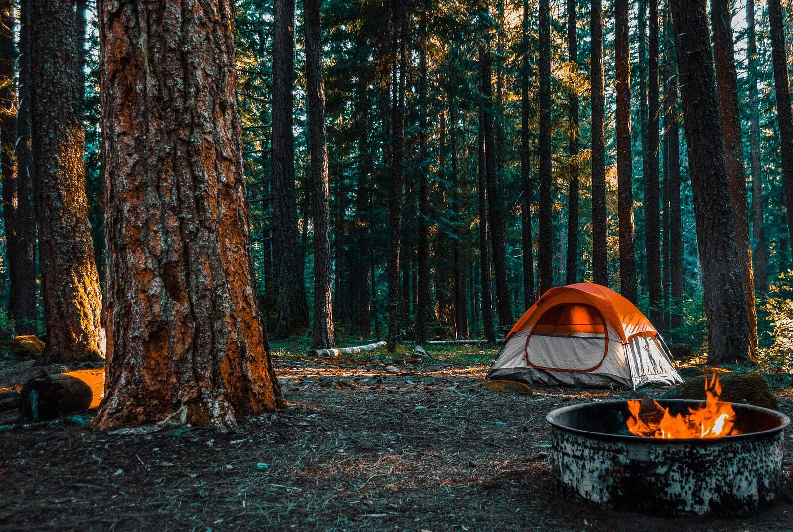 South Dakota Governor's $10M Campground Plan includes a tent set up in the woods with a fire pit, catering to groups.