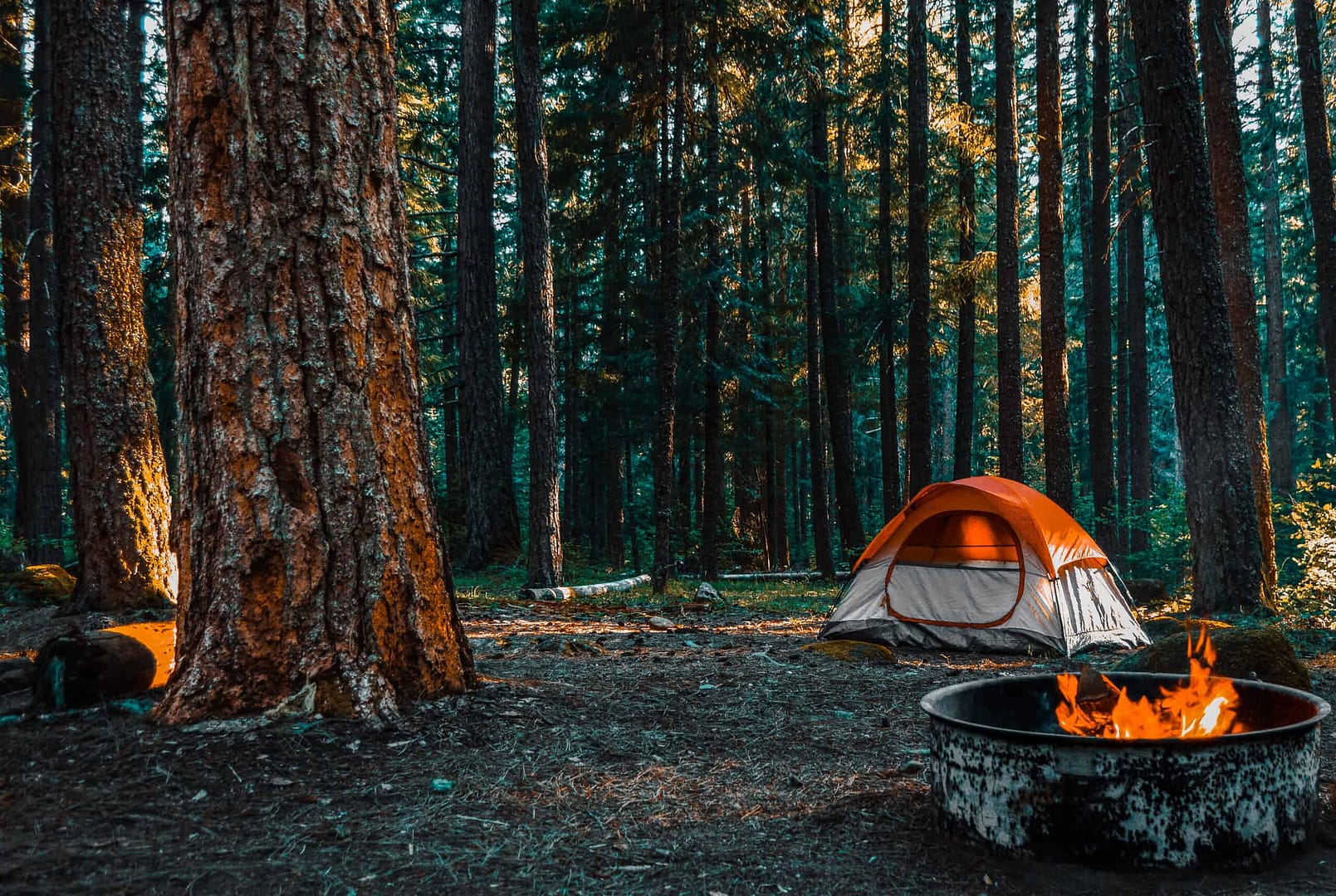Delayed reopening of Tuttle Point Campground. A tent set up in the woods with a fire pit.