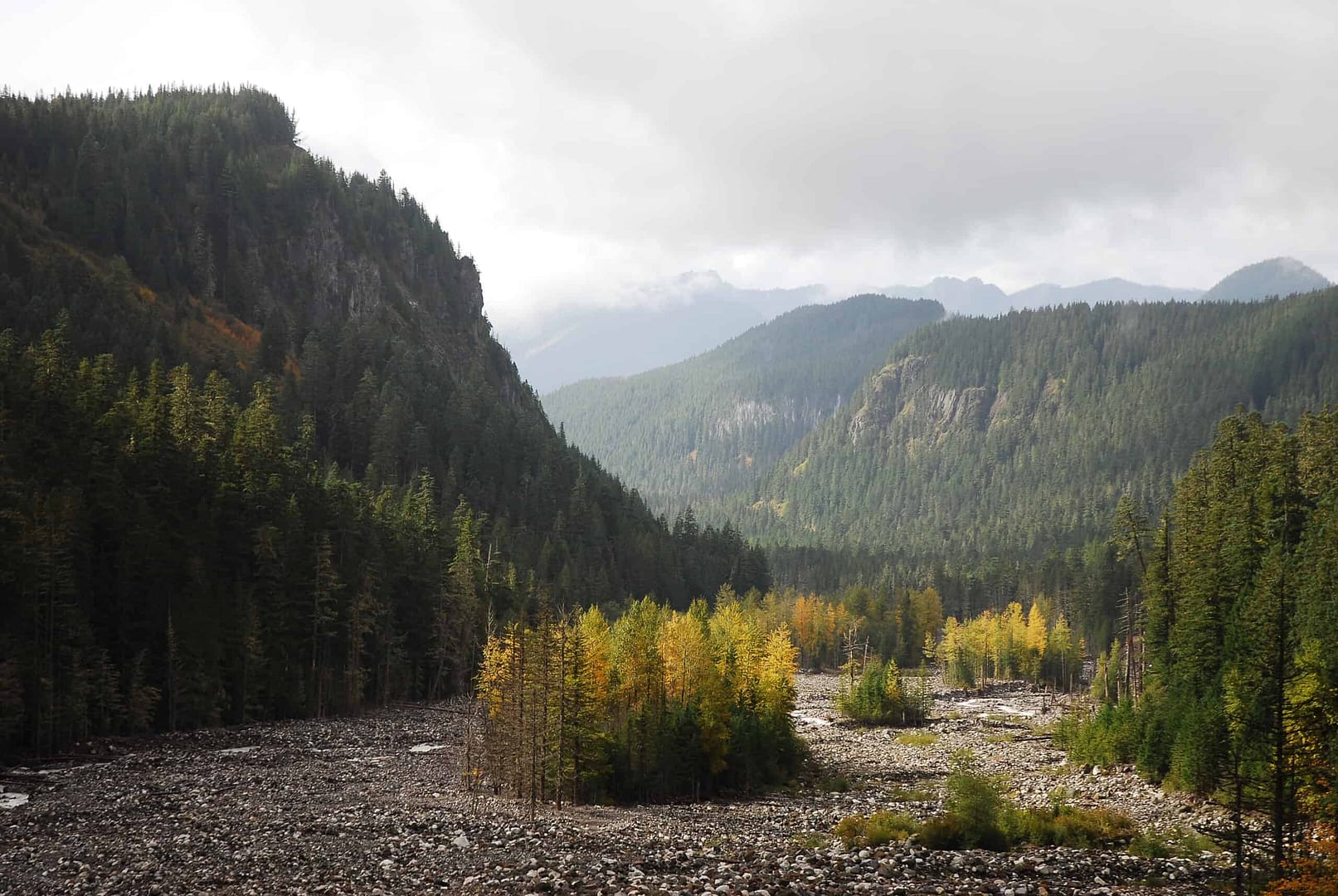 A river with trees and mountains in Washington State Park.