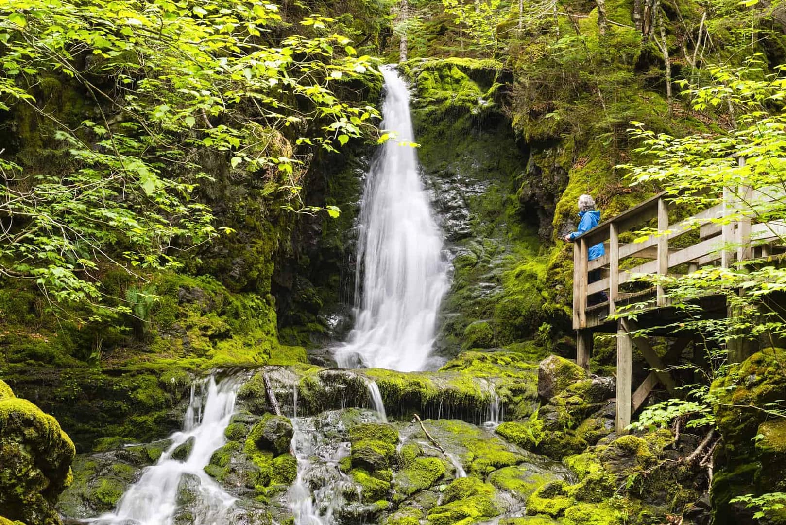 A glamping site surrounded by a serene woodland waterfall, perfect for regional tourism.