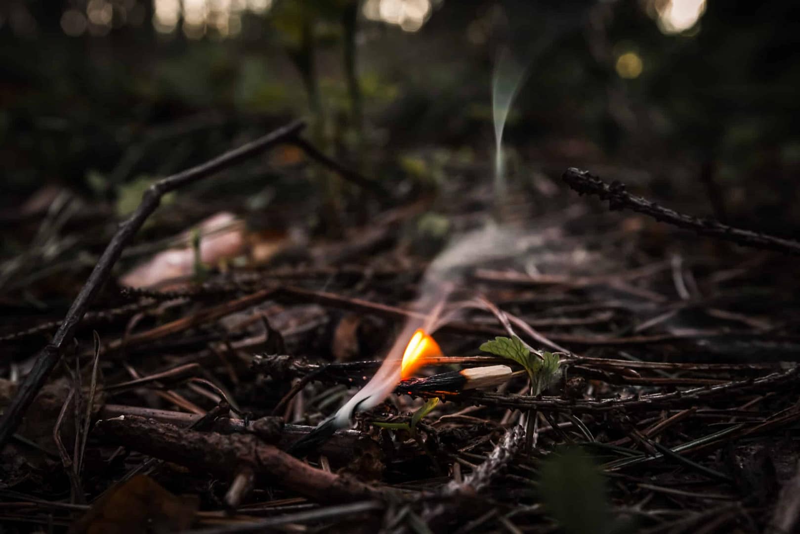 A match ignites a forest fire in the National Parks.