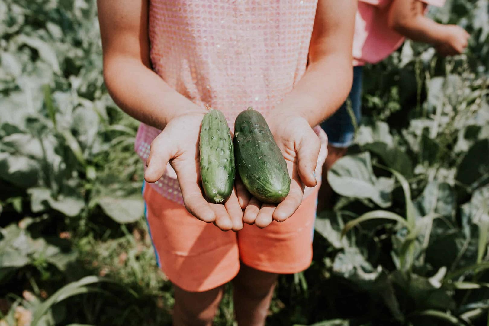 A girl holding two cucumbers, demonstrating her commitment to protecting the ecosystem services.