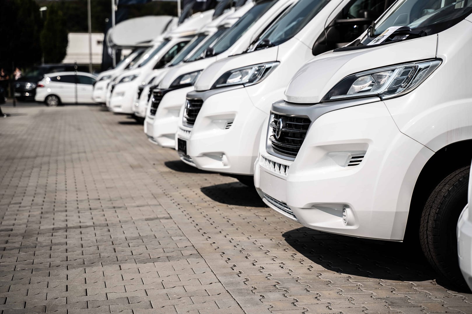 A row of white recreational vehicles parked in a parking lot.