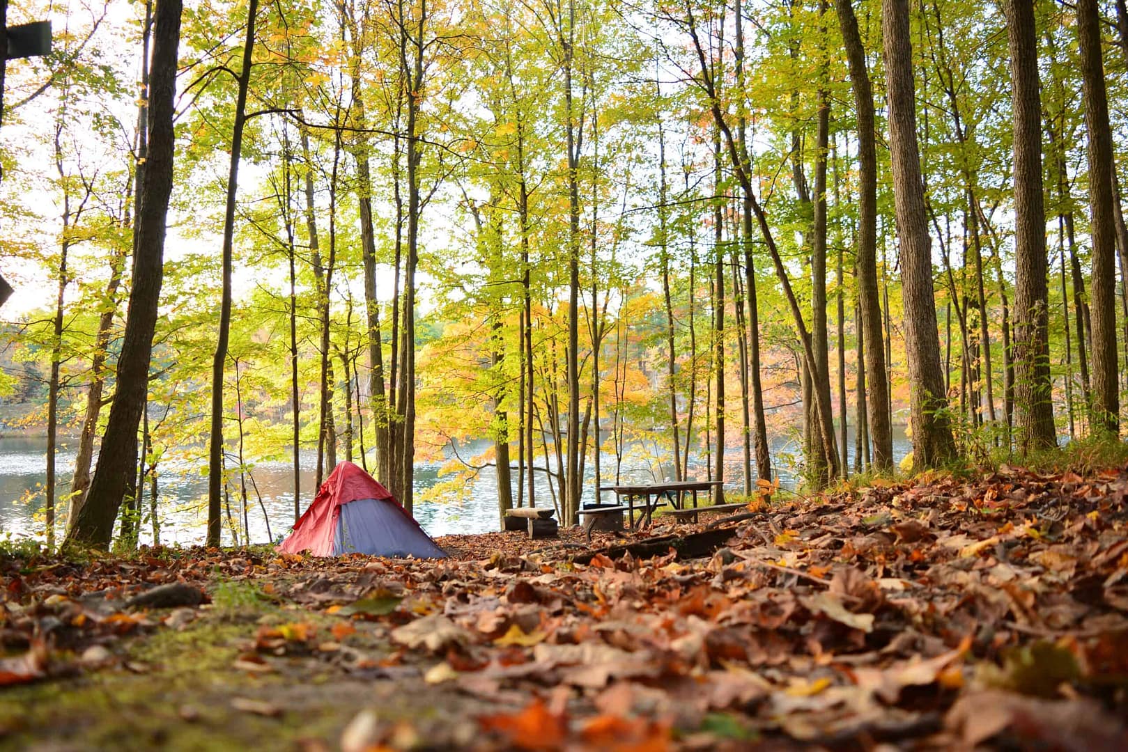 Beginners set up a tent in Frontenac Provincial Park near a lake for their backpacking adventure.