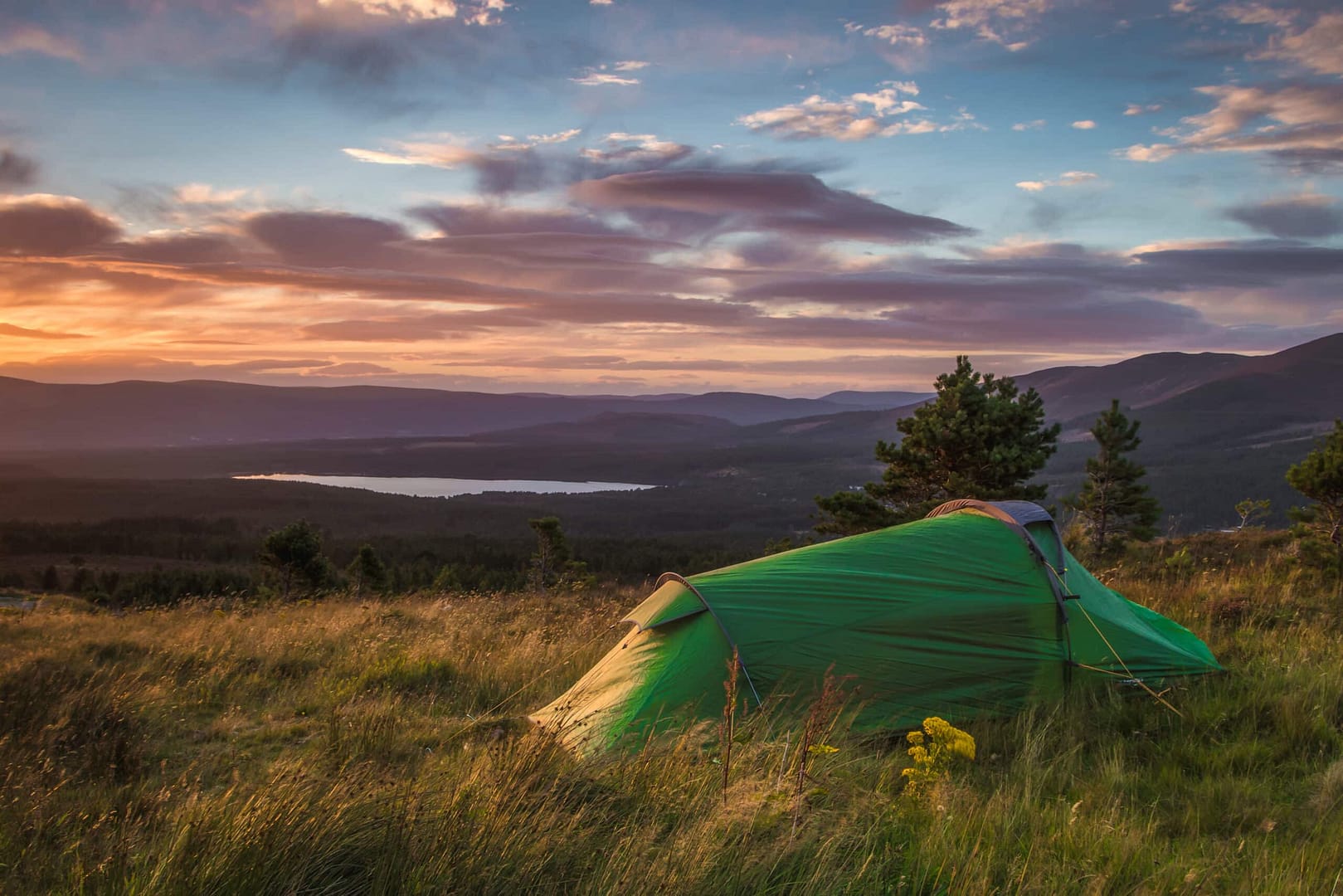 A green tent on top of a hill at a campsite.