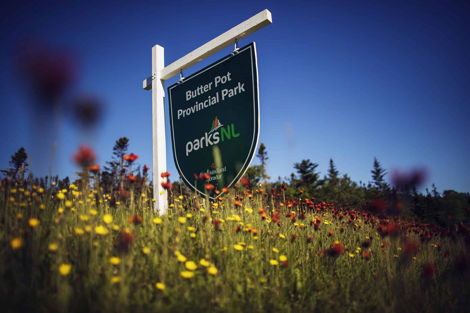 A sign promoting Solar Power in the middle of Butter Pot Park, Newfoundland.
