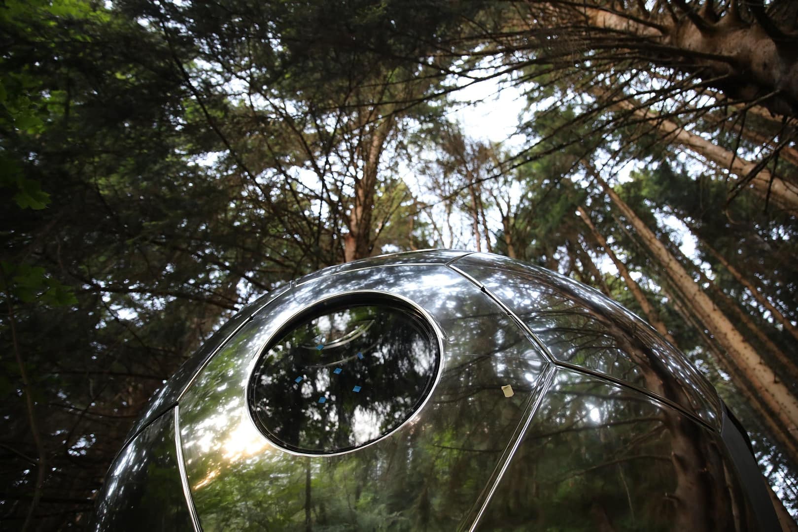A silver dome spaceship sitting in the middle of a Chillderness forest.