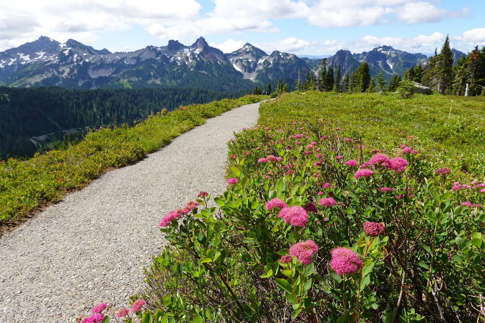 A path leading to Mount Rainier National Park with increasing winter recreational access.