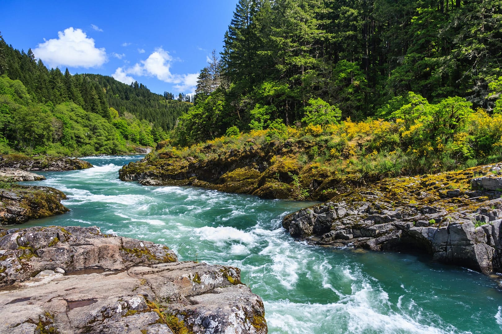 A river surrounded by trees and rocks in North Cascades National Park.