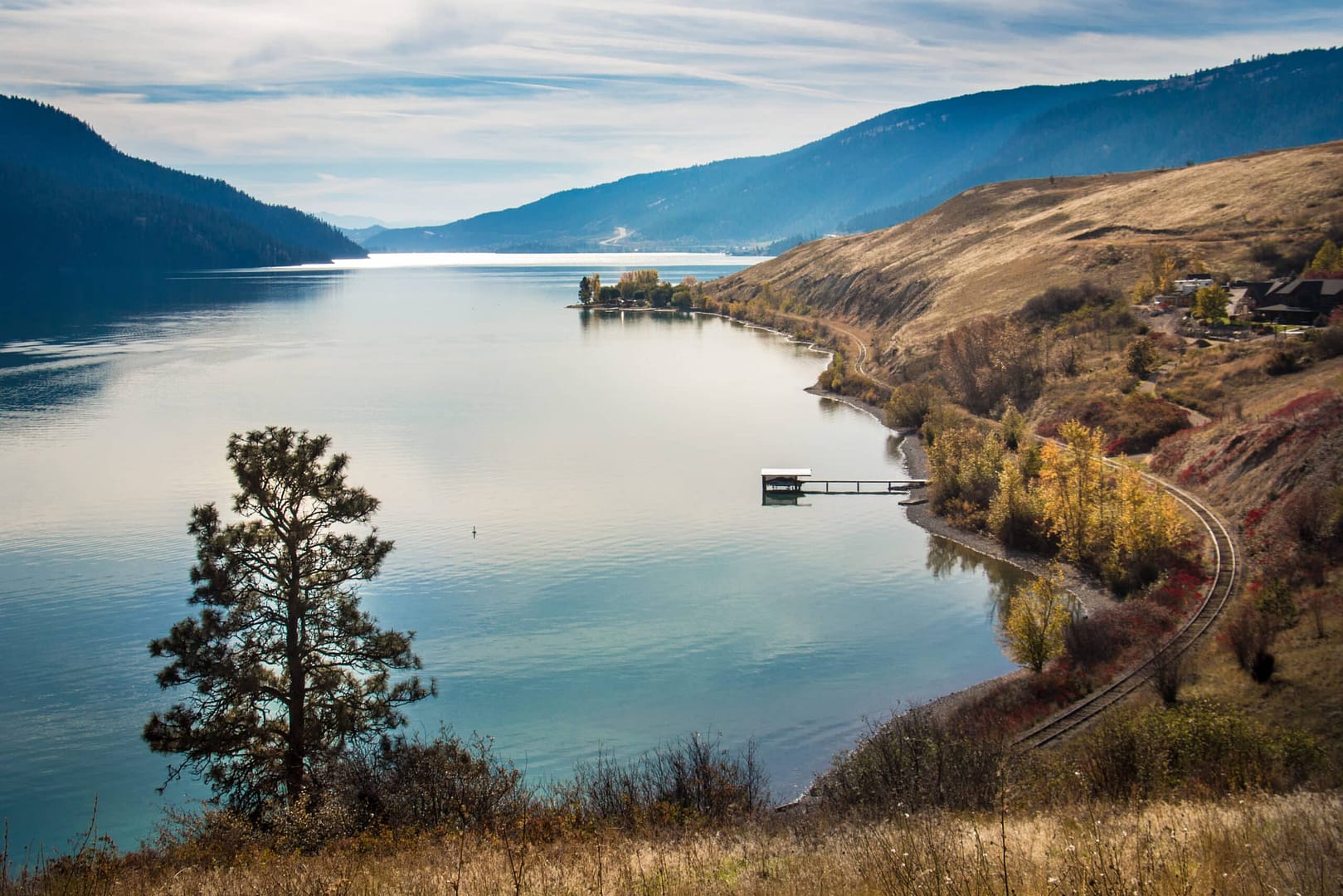 Scenic landscape featuring a calm lake with a small island, surrounded by rolling hills under a clear sky. A lone tree in the foreground at Todd's Campground overlooks a curving shoreline.