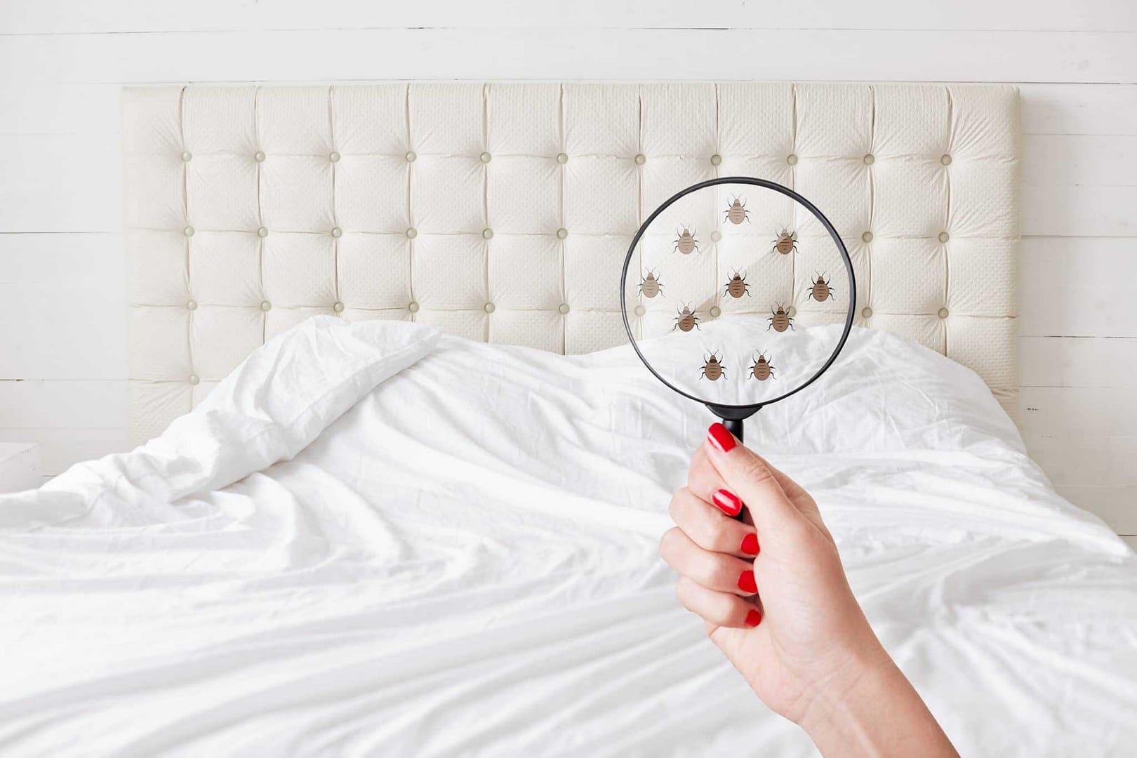 A person holding a magnifying glass over a bed infested with bugs in a filthy cottage.