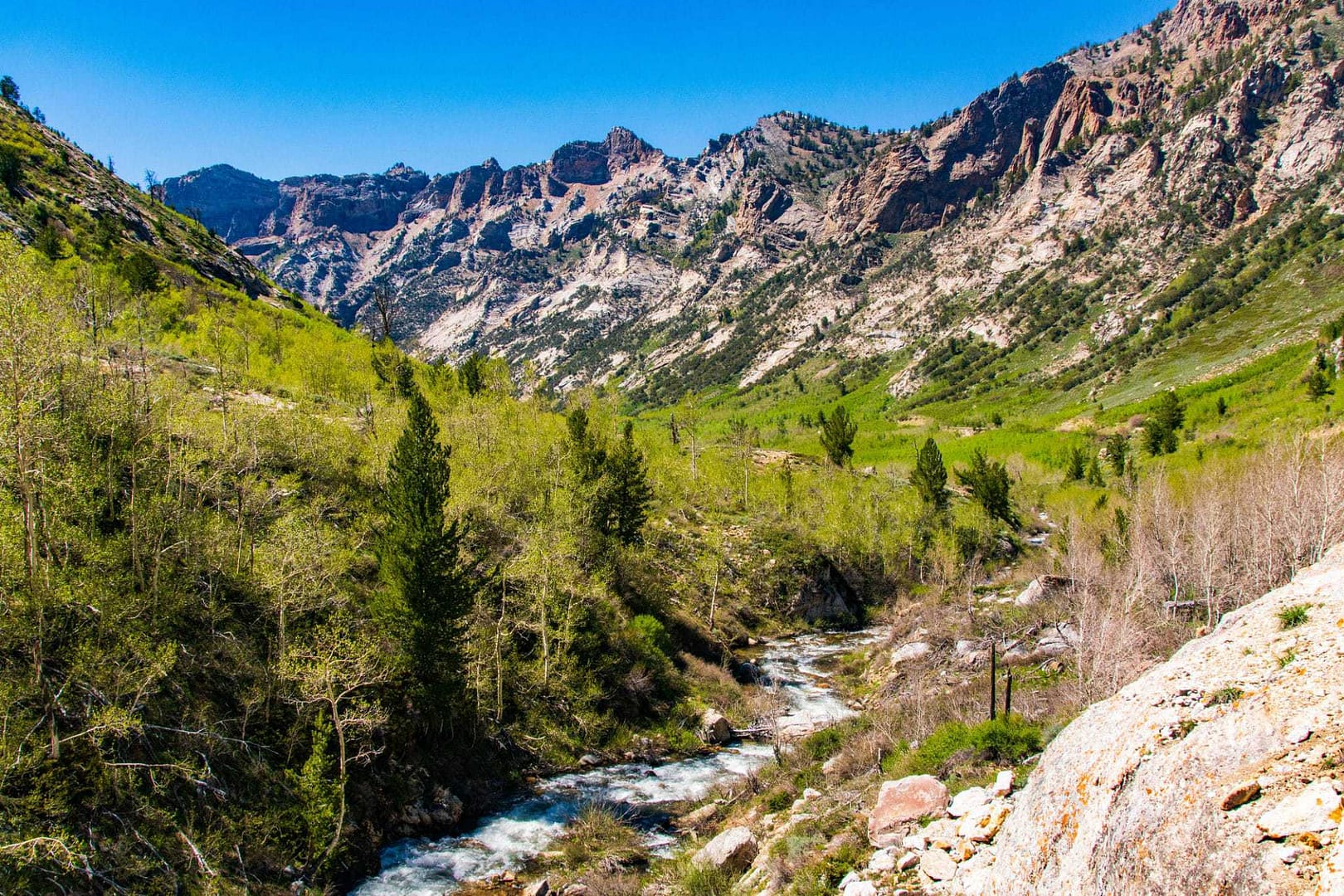 Nevada's Canyon Road offers a scenic view of a river running through a mountain canyon, perfect for exploring during Labor Day weekend.