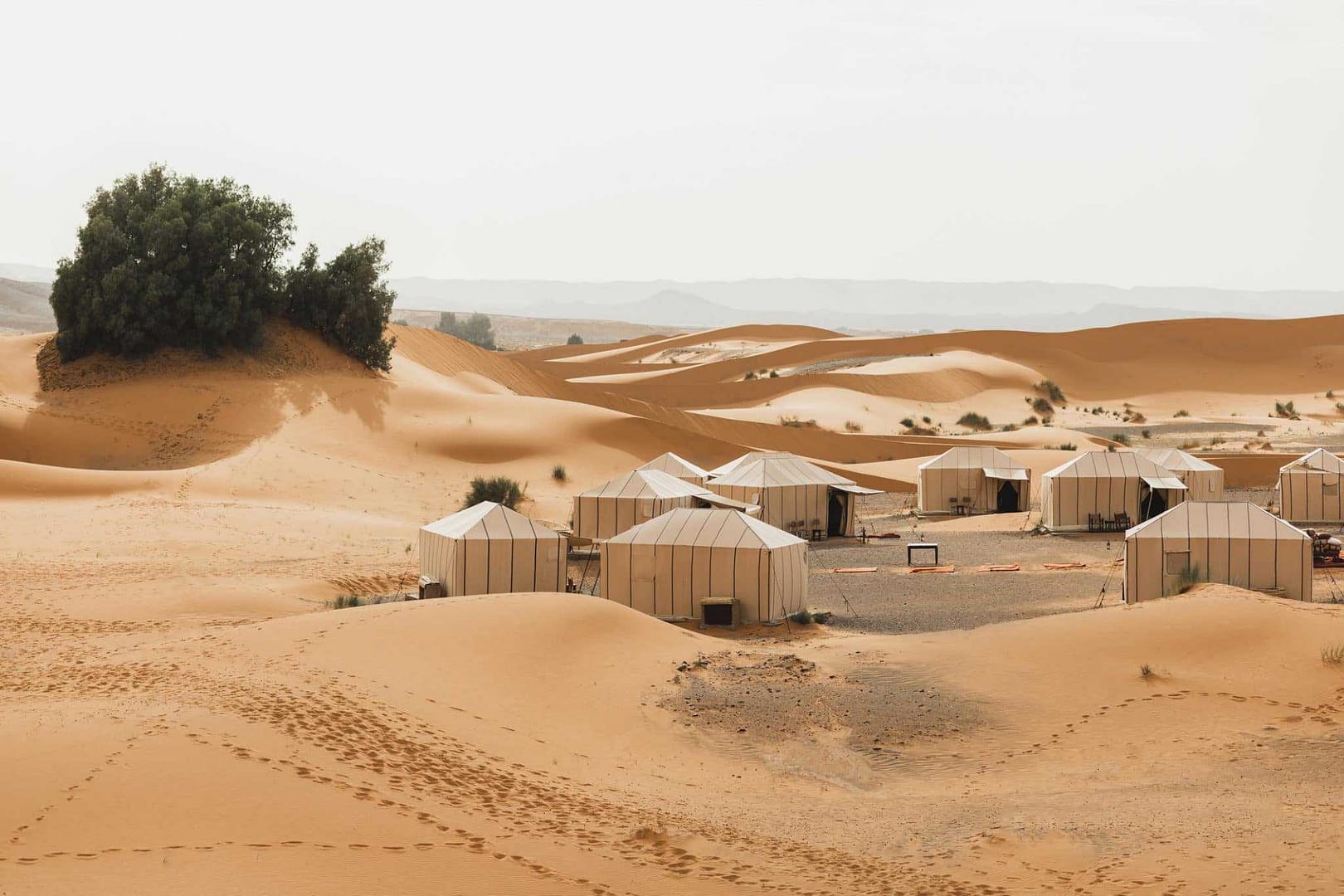An Eco-Retreat group of tents in the middle of the desert in UAE.