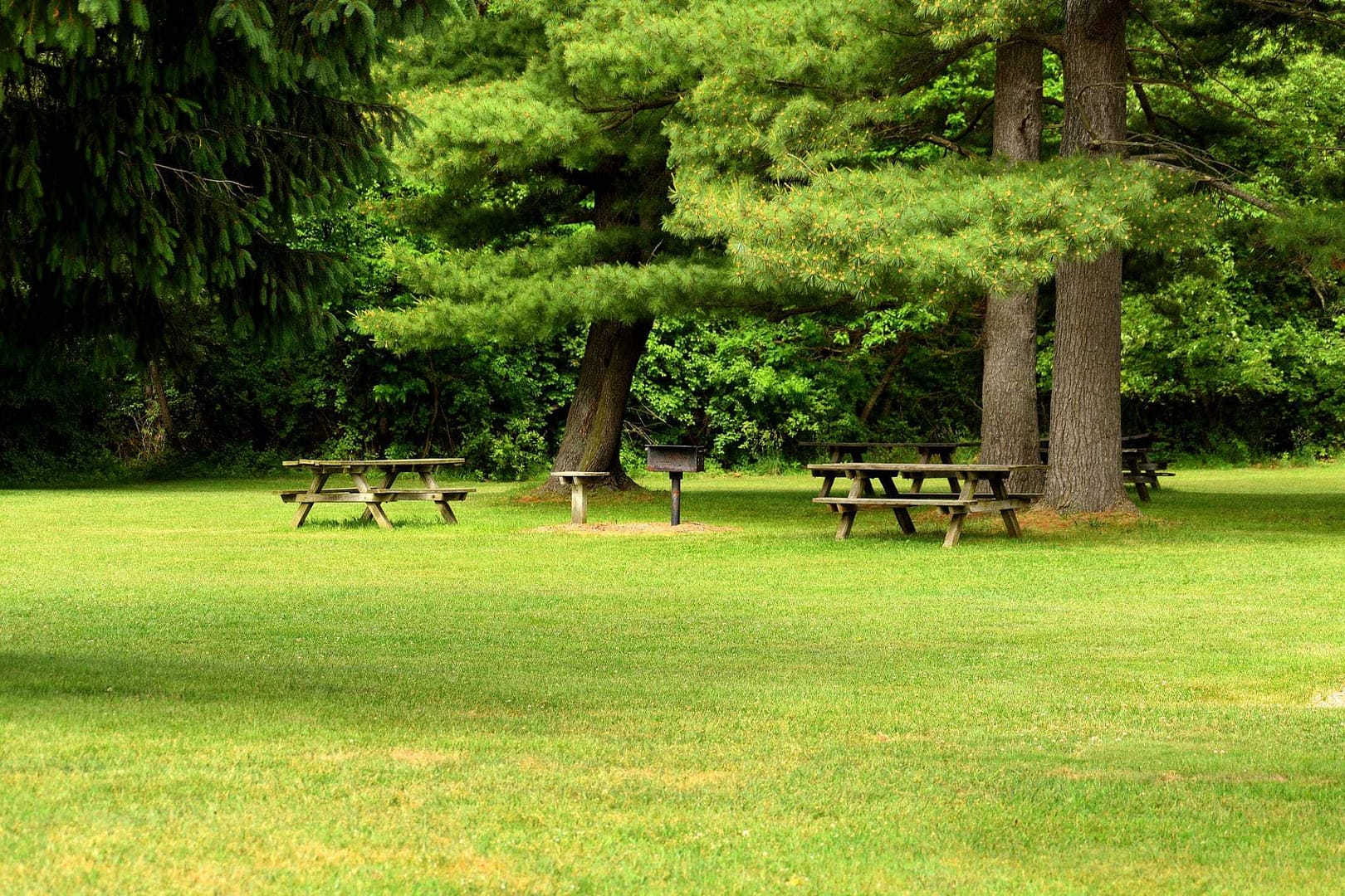 Happy residents enjoy picnicking at the group of picnic tables nestled in New Brunswick Provincial Park.