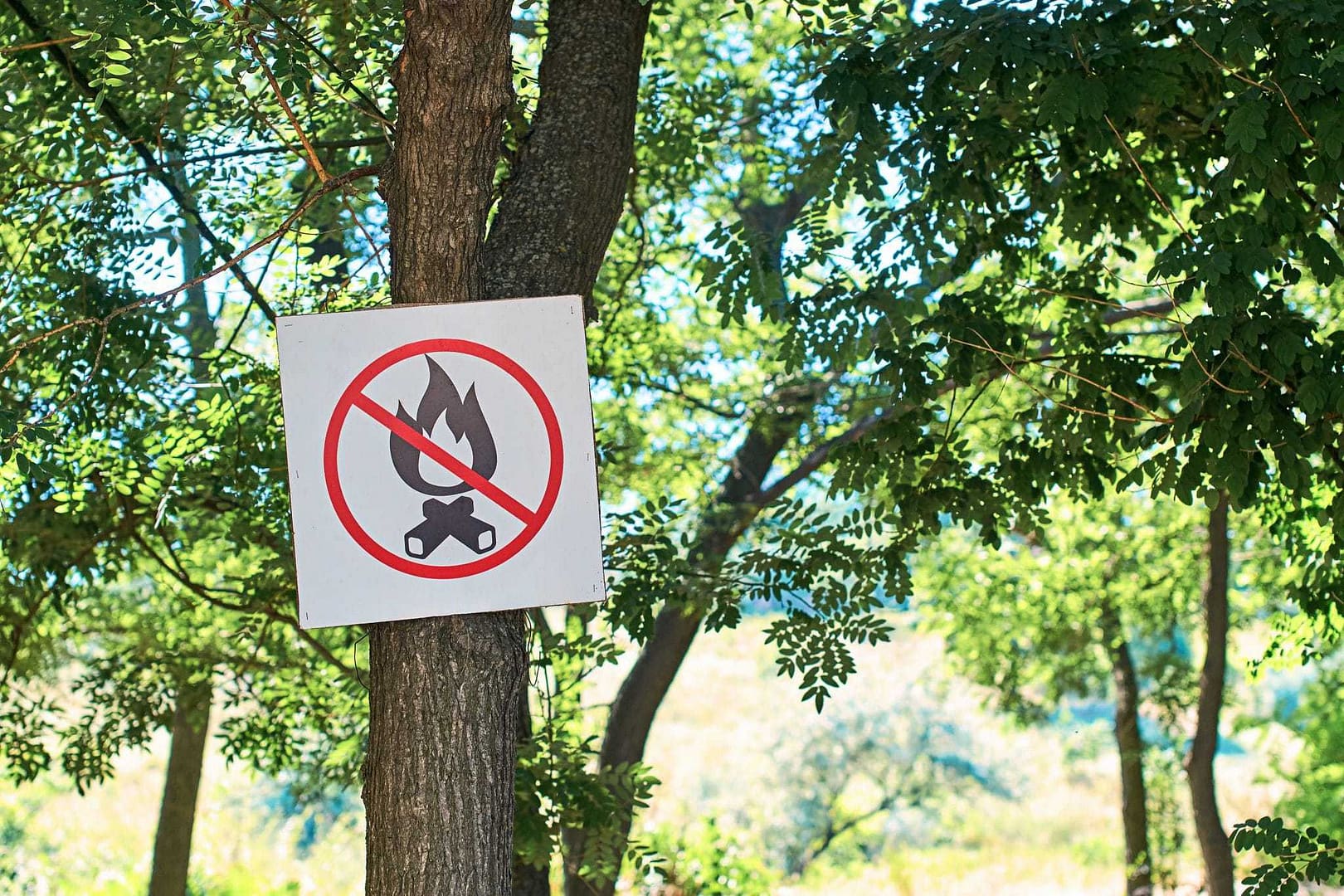A tree in a park displaying a "No fire" sign, reminding visitors of the Total Fire Ban in West Australia.