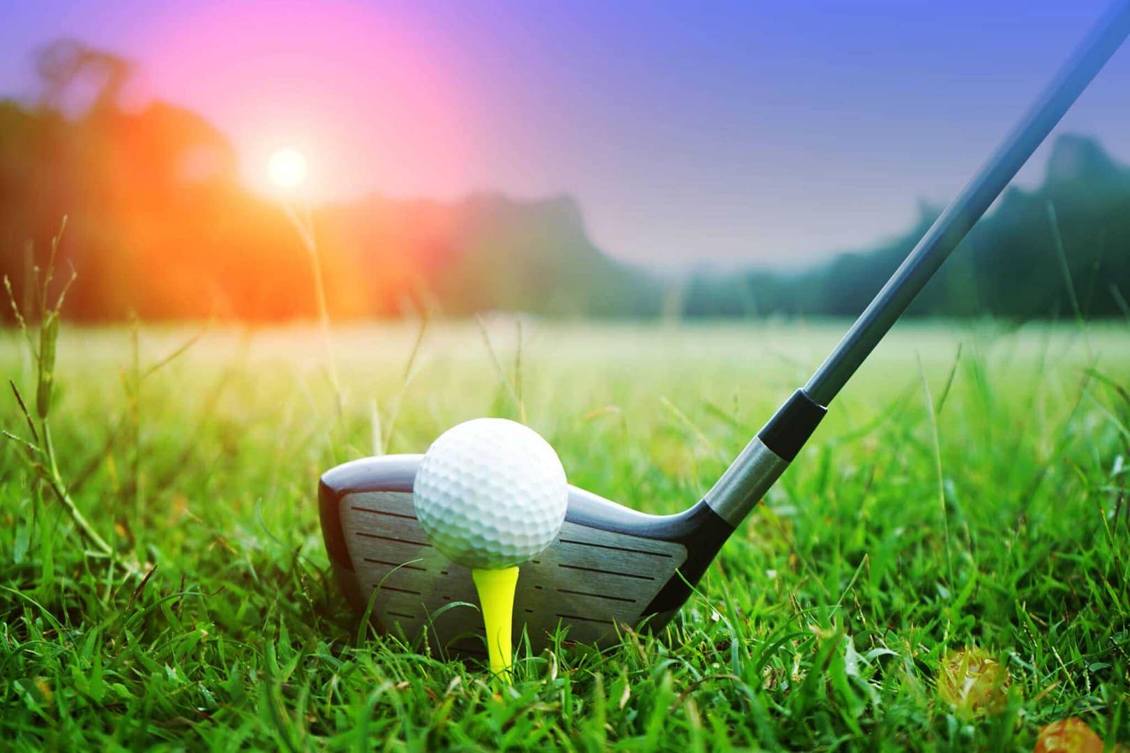 A golf club and a golf ball rest peacefully in the lush green grass, epitomizing the quintessential image of Eckville Project's unrivaled Golf Services. Whether you are a seasoned
