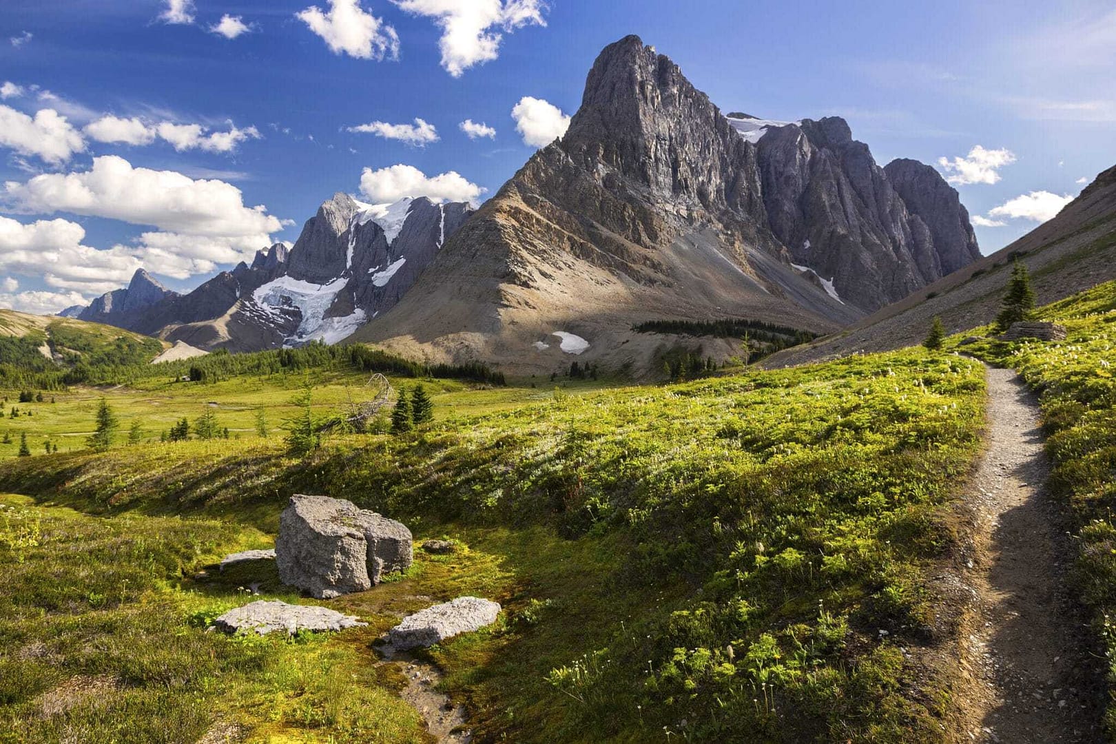 A trail leads through a grassy meadow with mountains in the background, enhancing Kootenay Rockies Tourism by providing an improved tourism infrastructure.