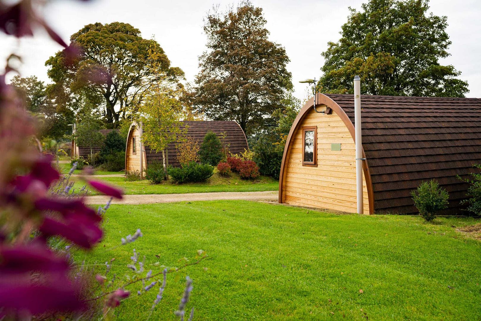 Bolney Farm offers an appealing glamping experience with a group of wooden cabins in a picturesque, grassy area.