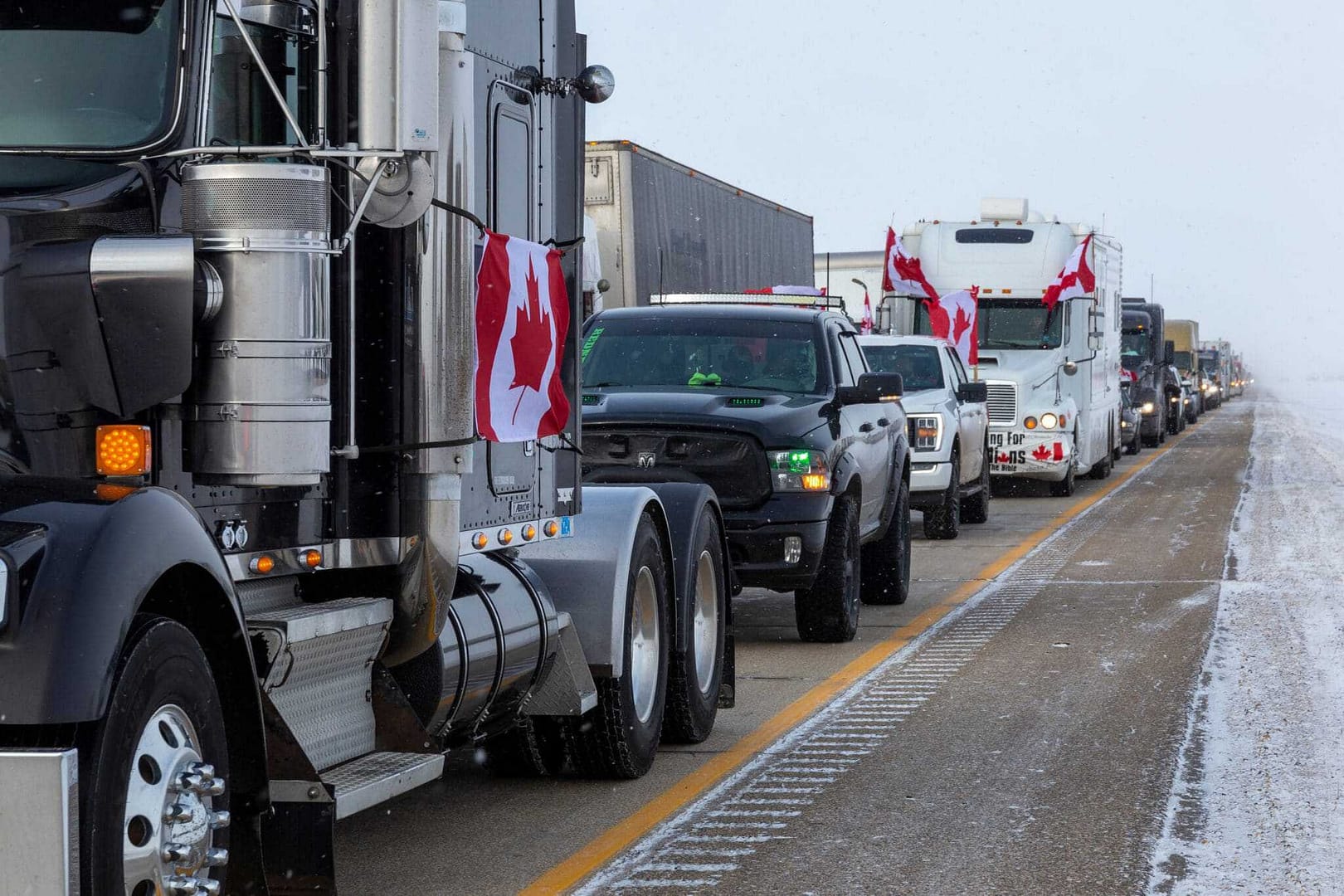 A line of semi trucks adorned with Canadian flags drives along a highway as part of the Freedom Convoy protesting vaccine mandates.