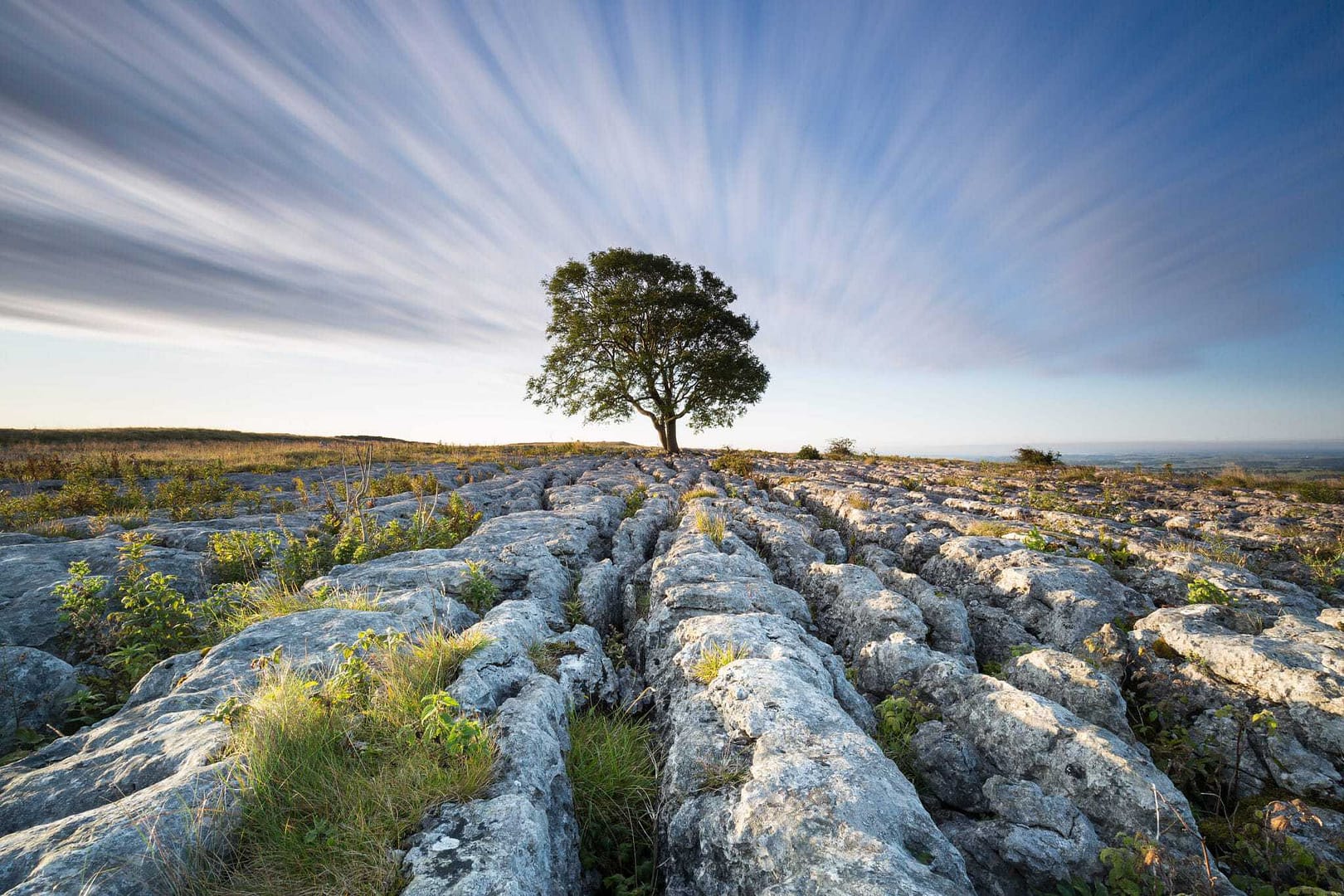 A lone tree stands on top of a rocky hill in the Yorkshire Dales National Park Authority.