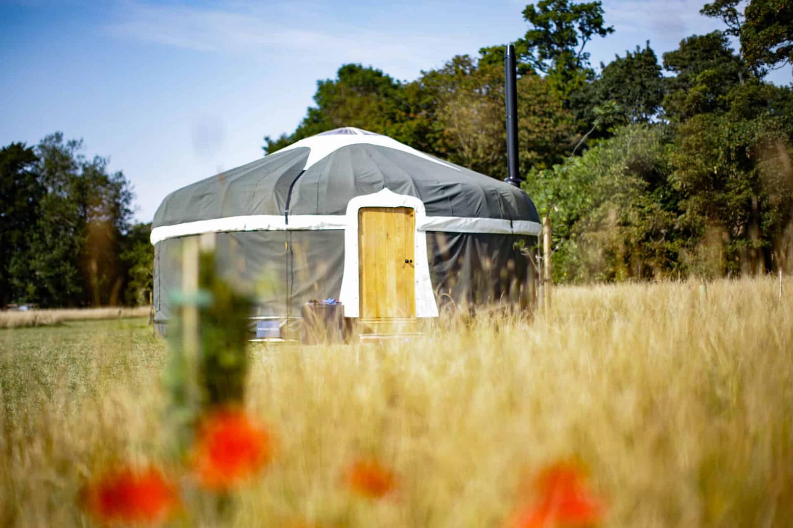 A glamping site in Norfolk featuring a yurt nestled in the middle of a field.