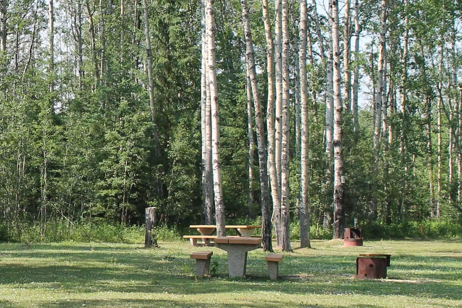 A Grande Prairie picnic area with tables and benches in the middle of a wooded area.