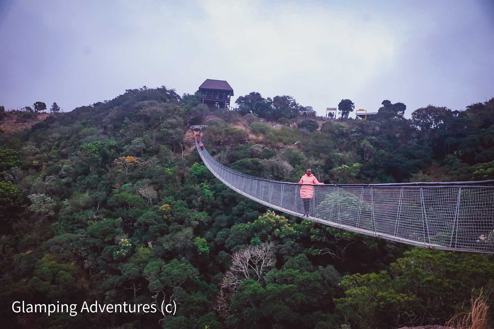 A woman is traveling on a suspension bridge over a forest.