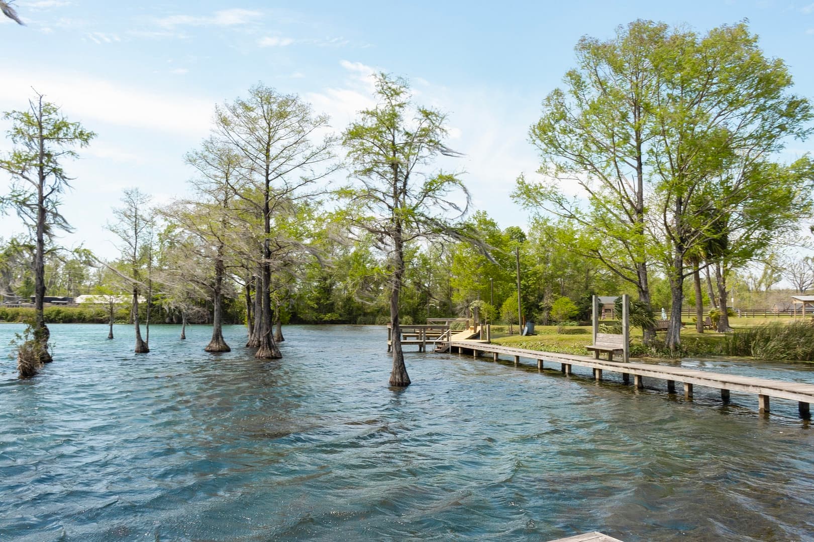A dock on a lake surrounded by cypress trees in Jackson County.