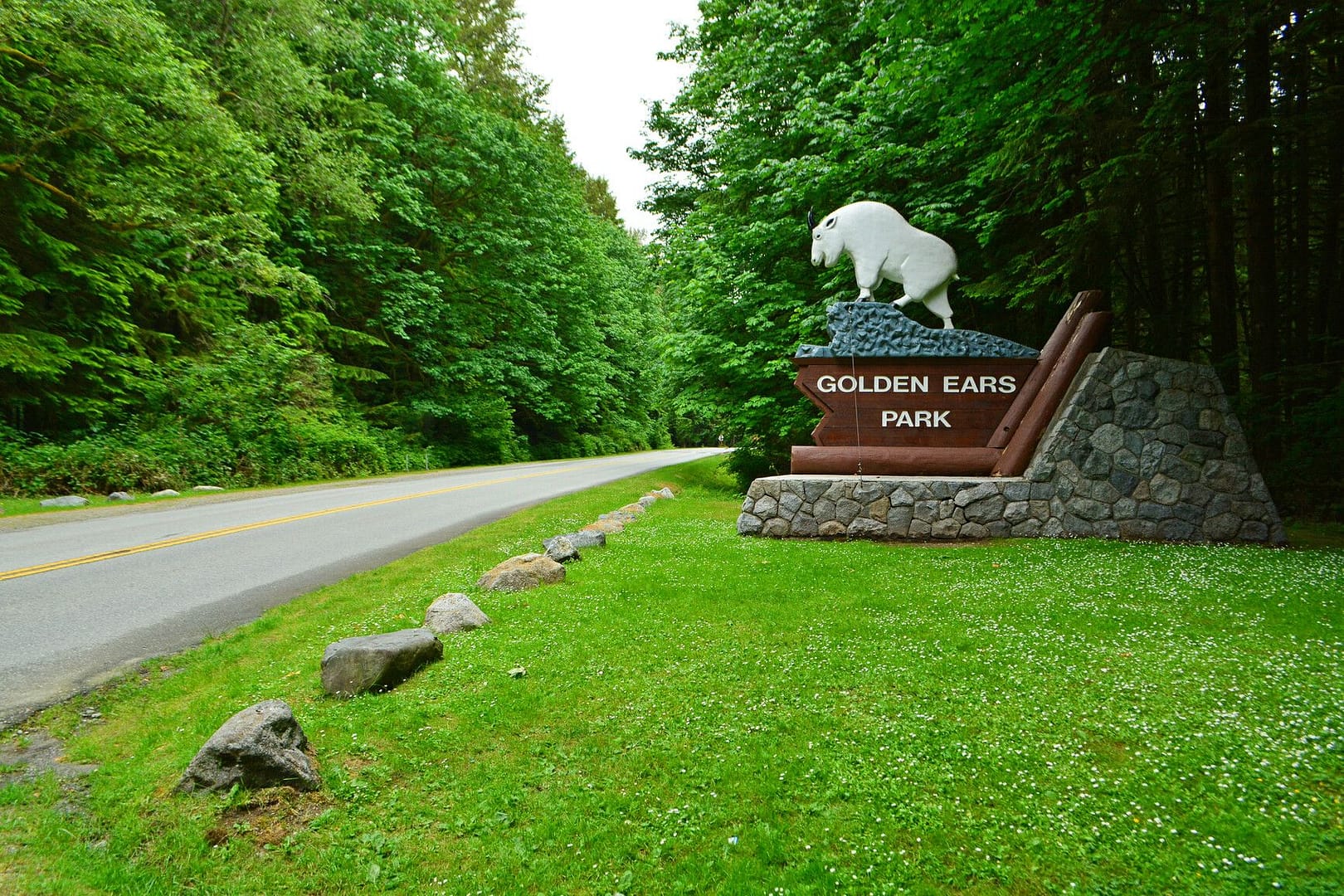 A sign for Golden Ears Park is in the middle of a forest.