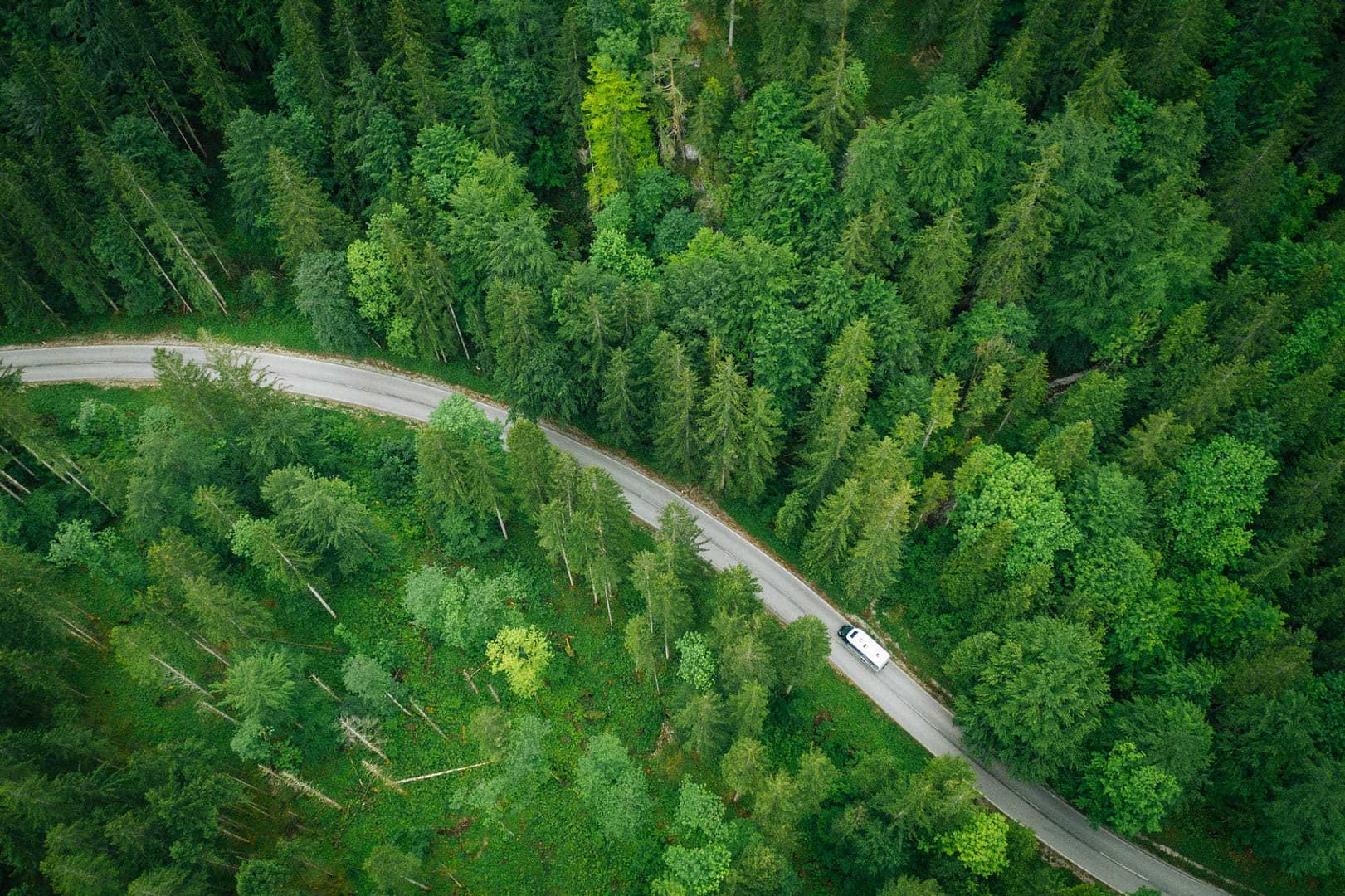 An aerial view of a car driving down a winding road in a State Forest Campground.